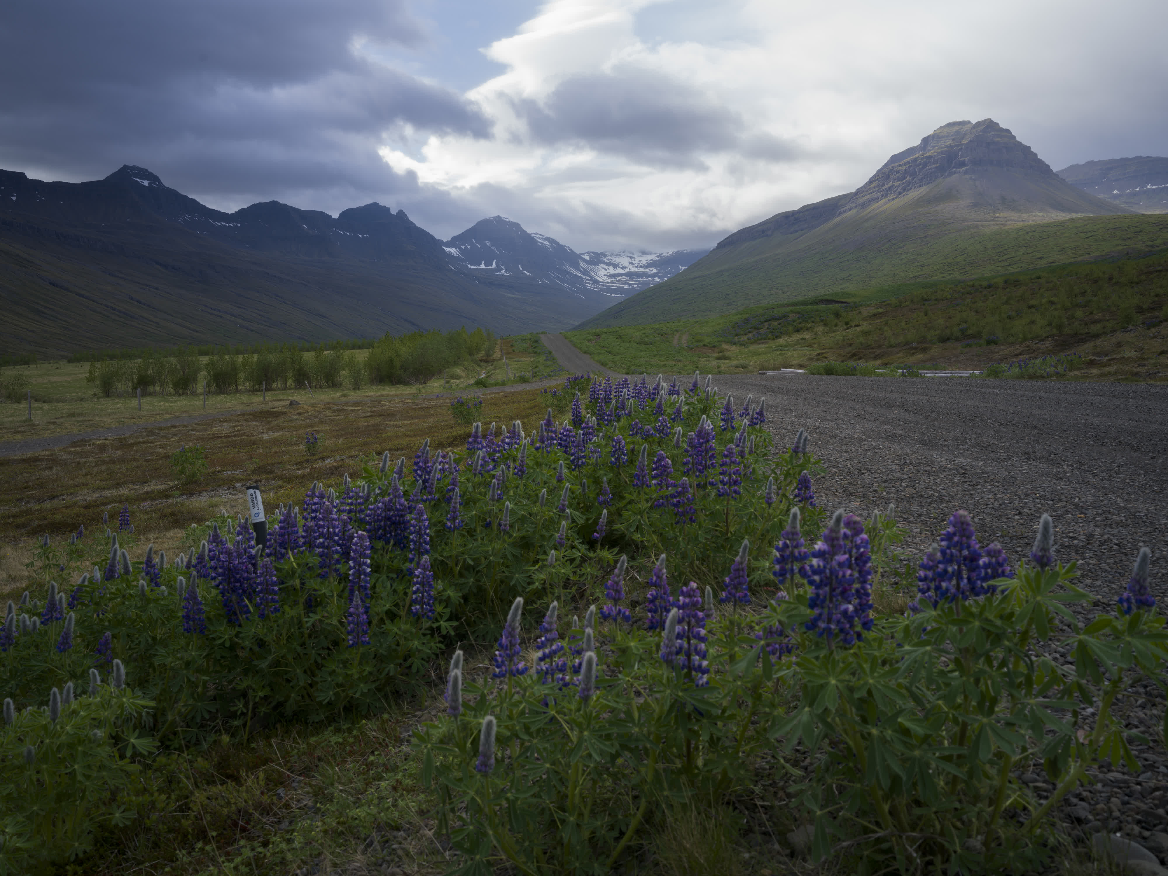 Iceland – East Fjords photo 2 by Bowen Hou