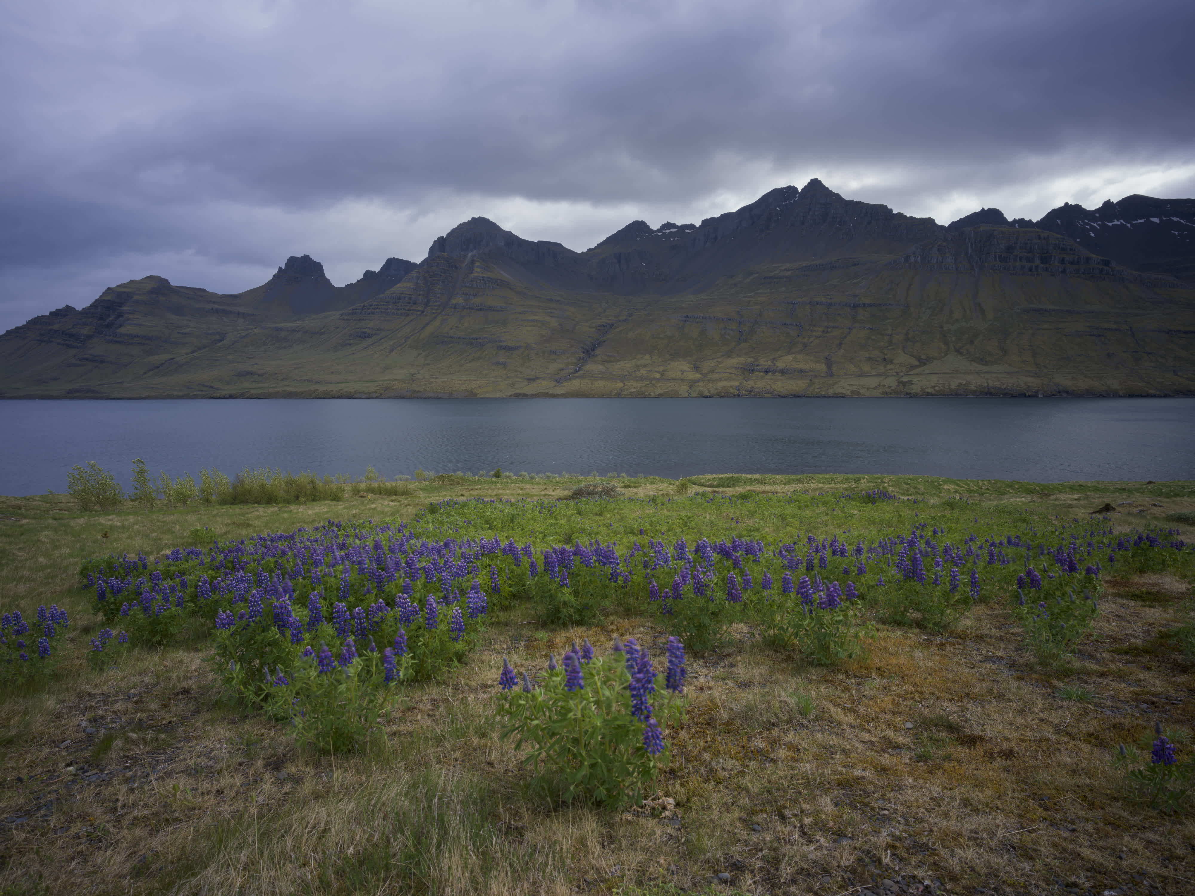 Iceland – East Fjords photo 4 by Bowen Hou