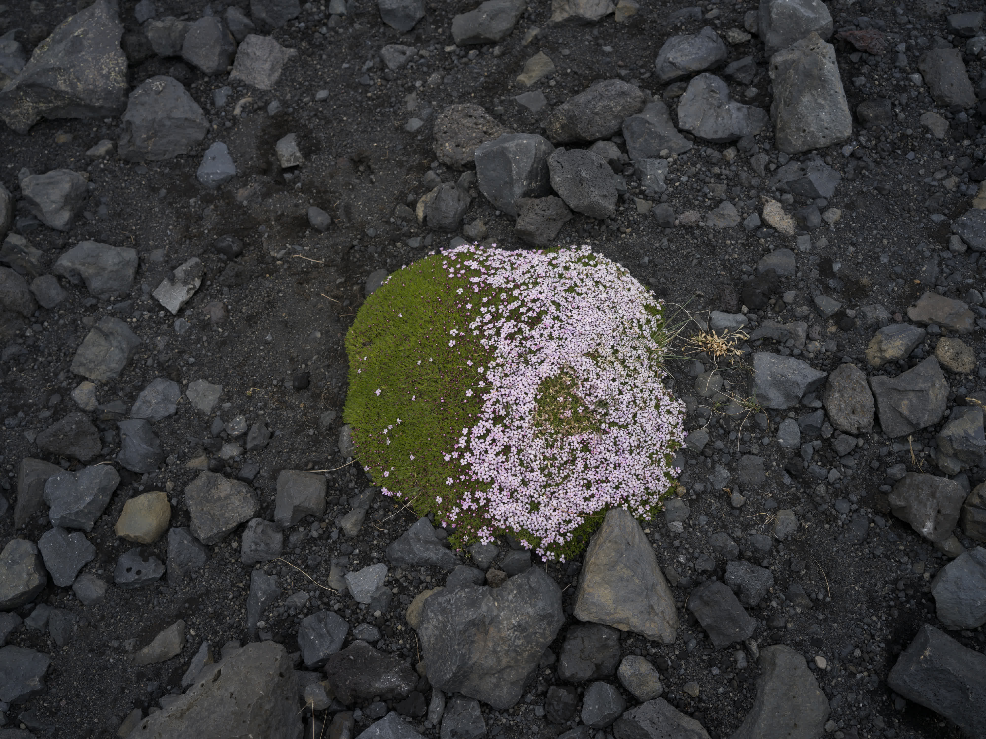 Iceland – North Iceland photo 8 by Bowen Hou
