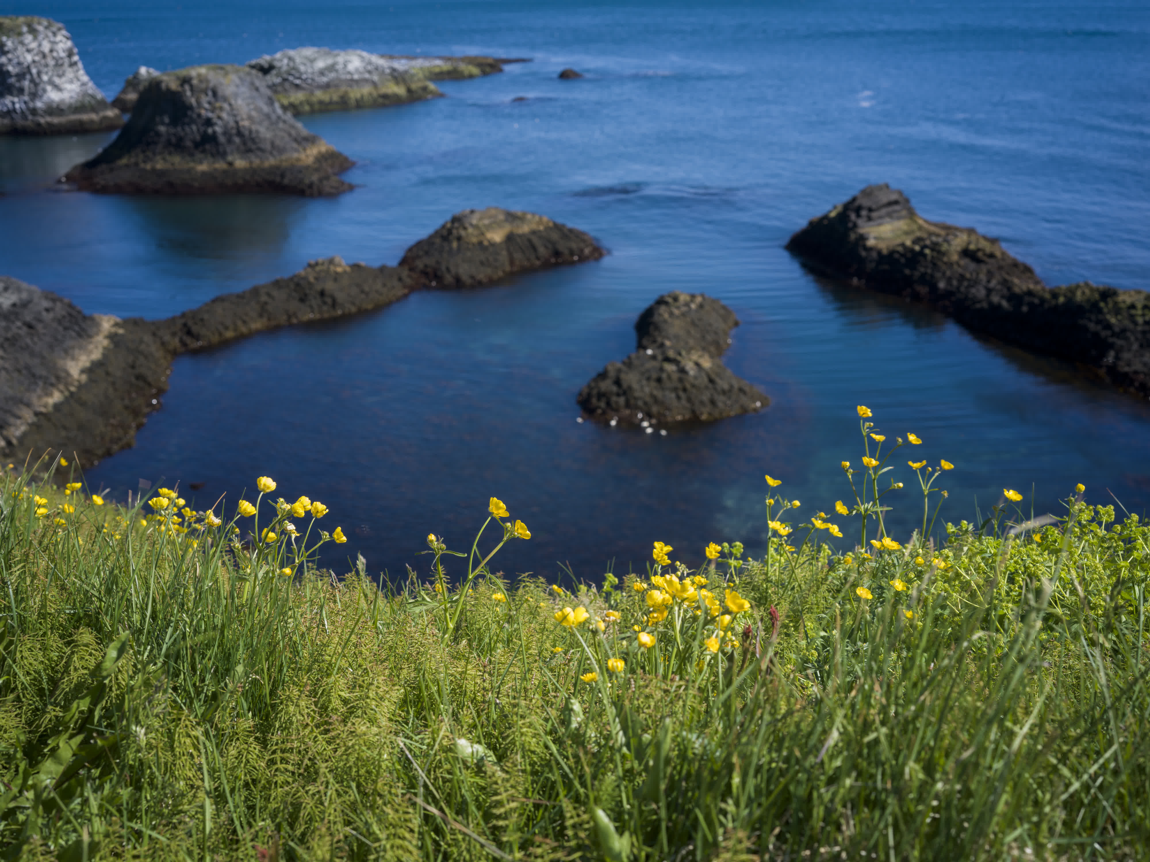 Iceland - Snæfellsnes photo 4 by Bowen Hou