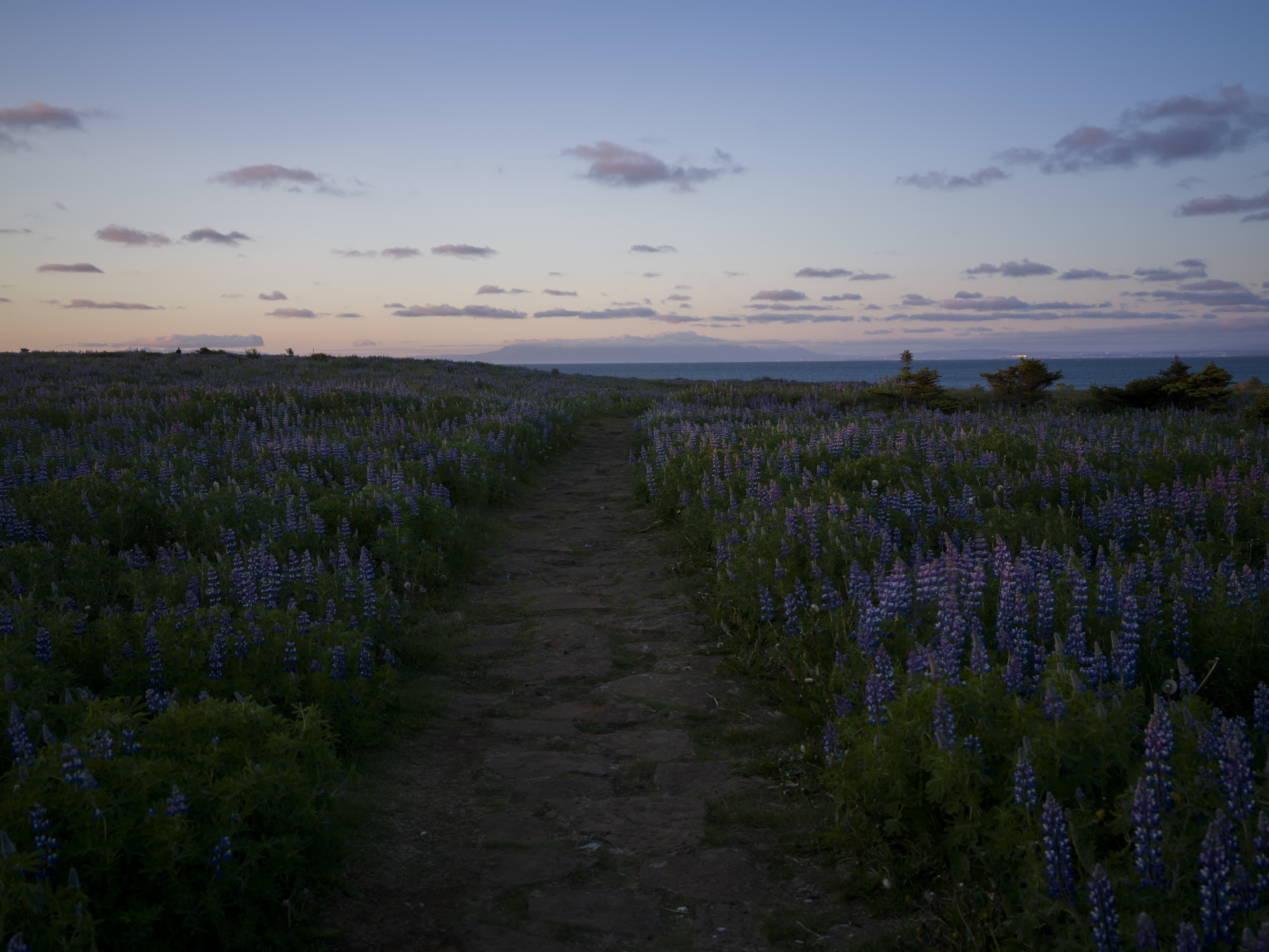 Iceland - Snæfellsnes photo 7 by Bowen Hou