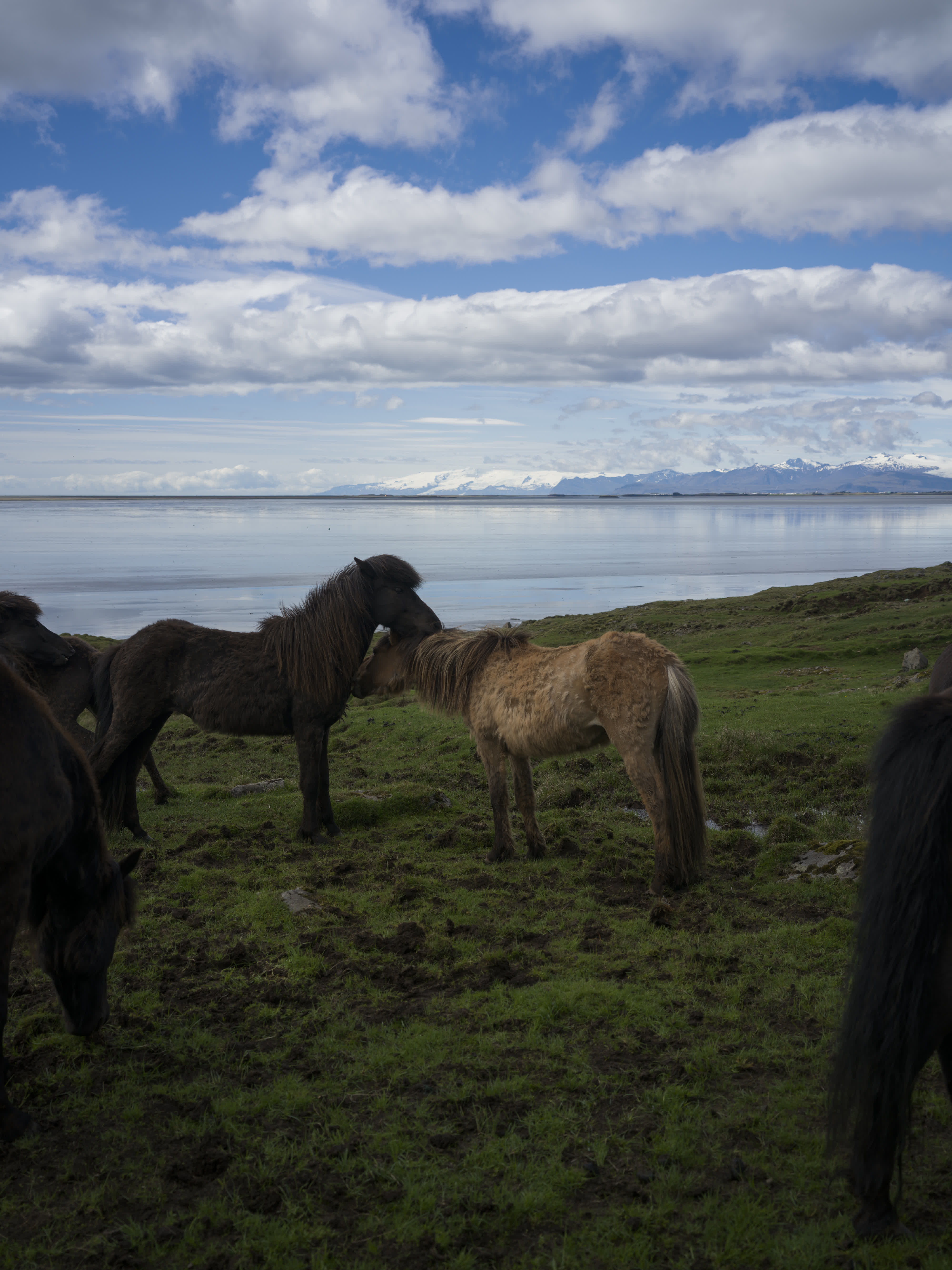 Iceland – Southern Coast photo 5 by Bowen Hou