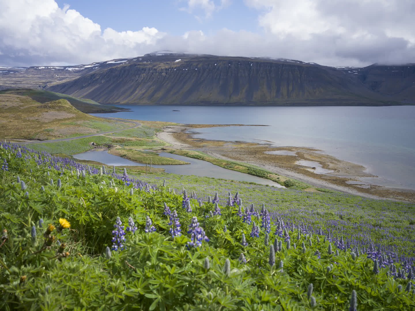 Iceland – Westfjords