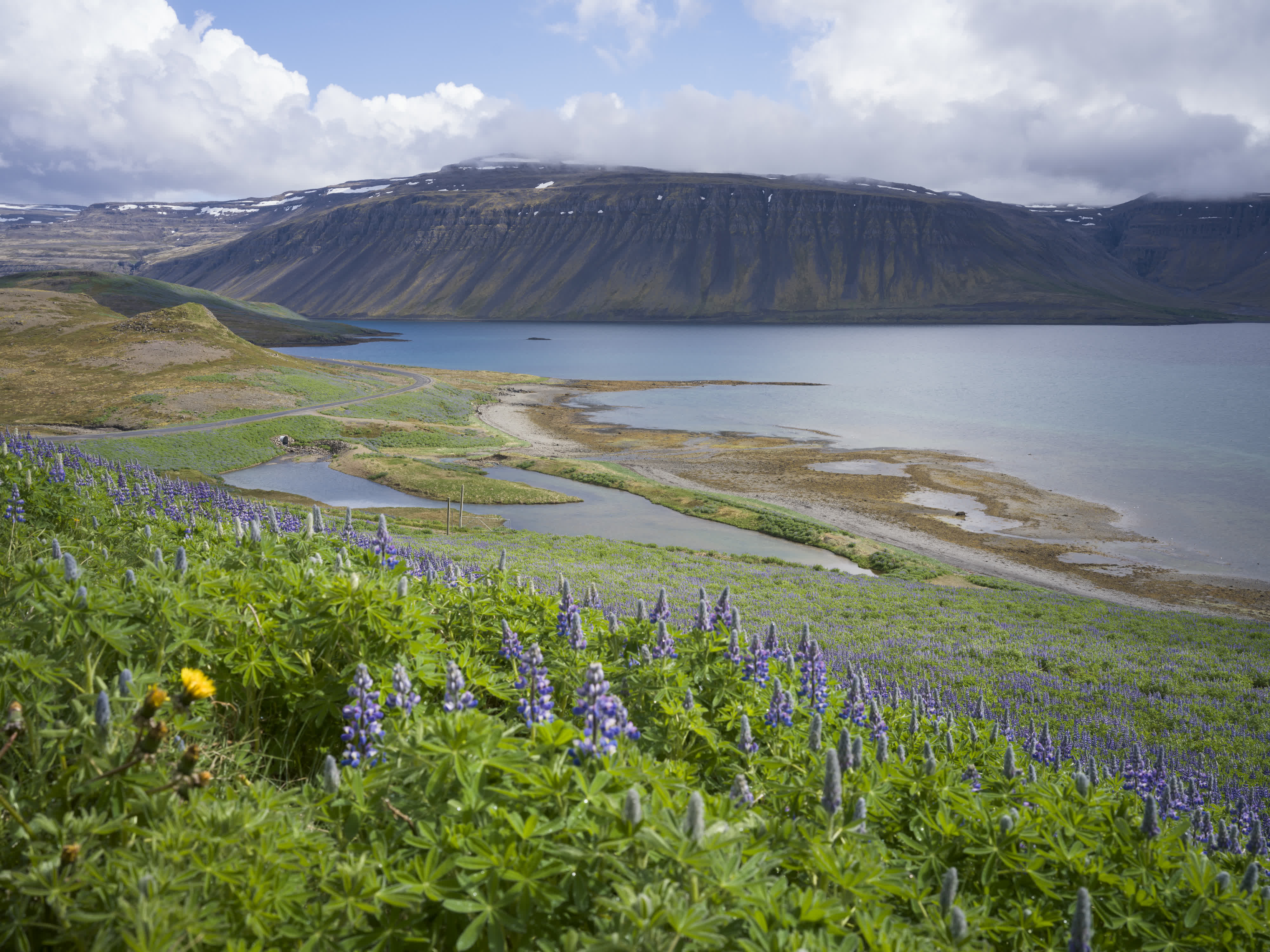 Iceland – Westfjords photo 1 by Bowen Hou