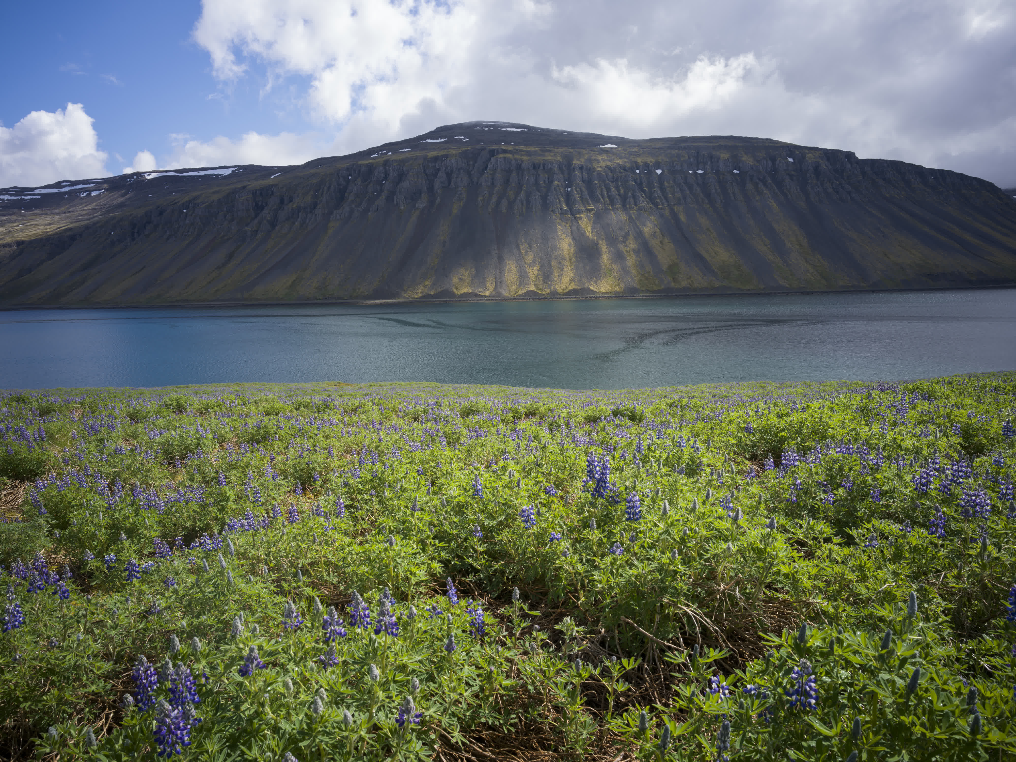 Iceland – Westfjords photo 22 by Bowen Hou