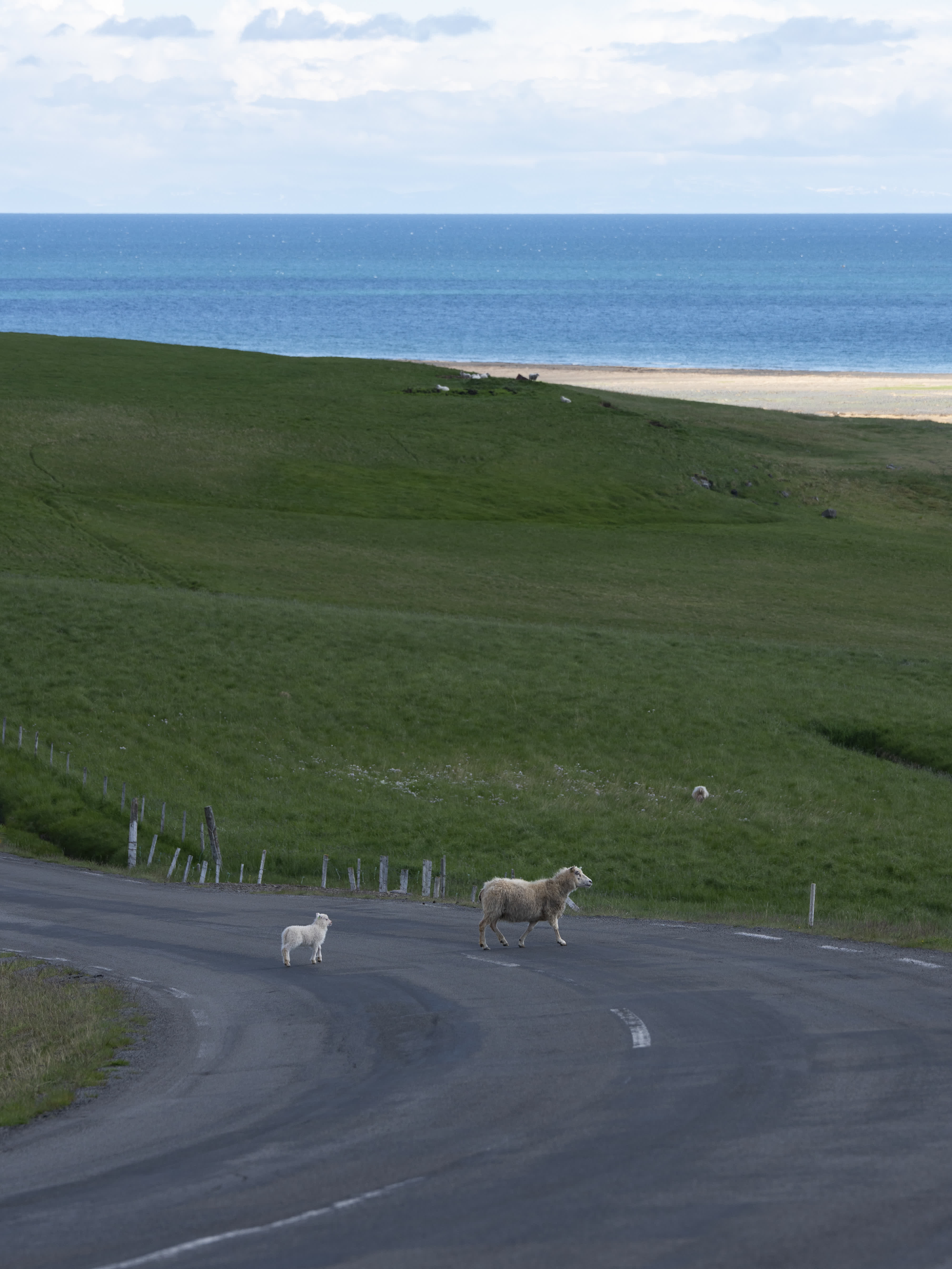 Iceland – Westfjords photo 25 by Bowen Hou