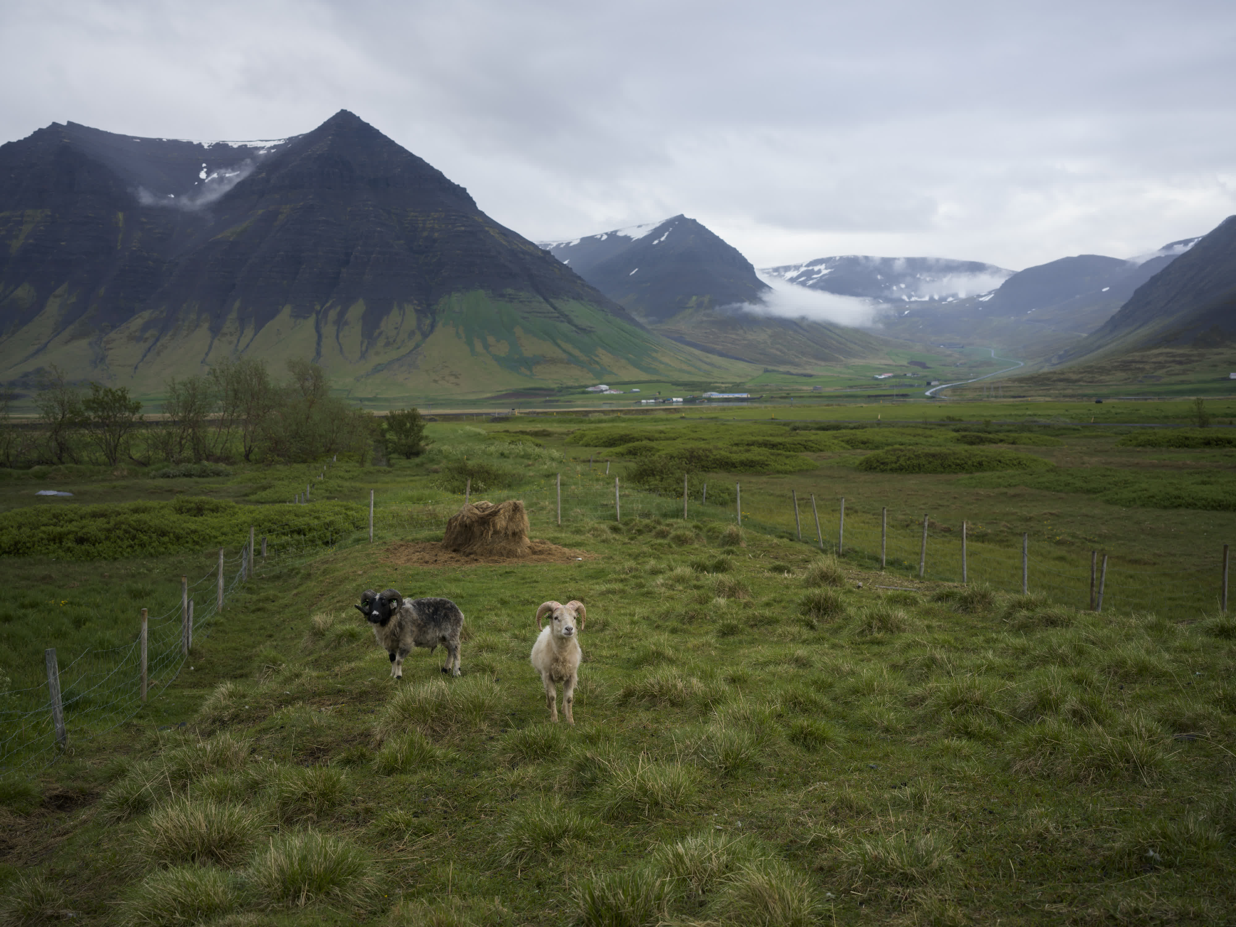 Iceland – Westfjords photo 28 by Bowen Hou