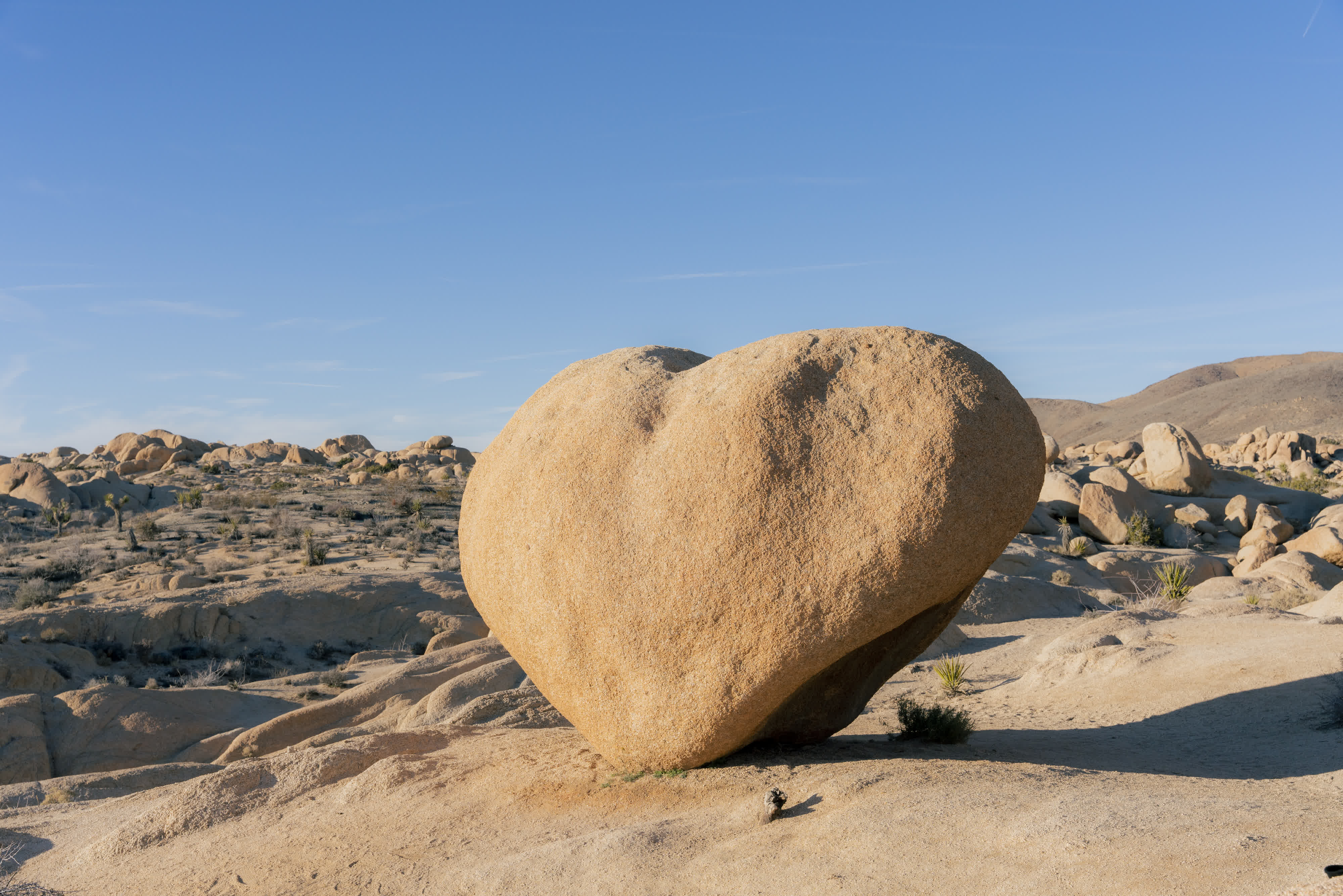 Joshua Tree NP 2023 photo 1 by Bowen Hou