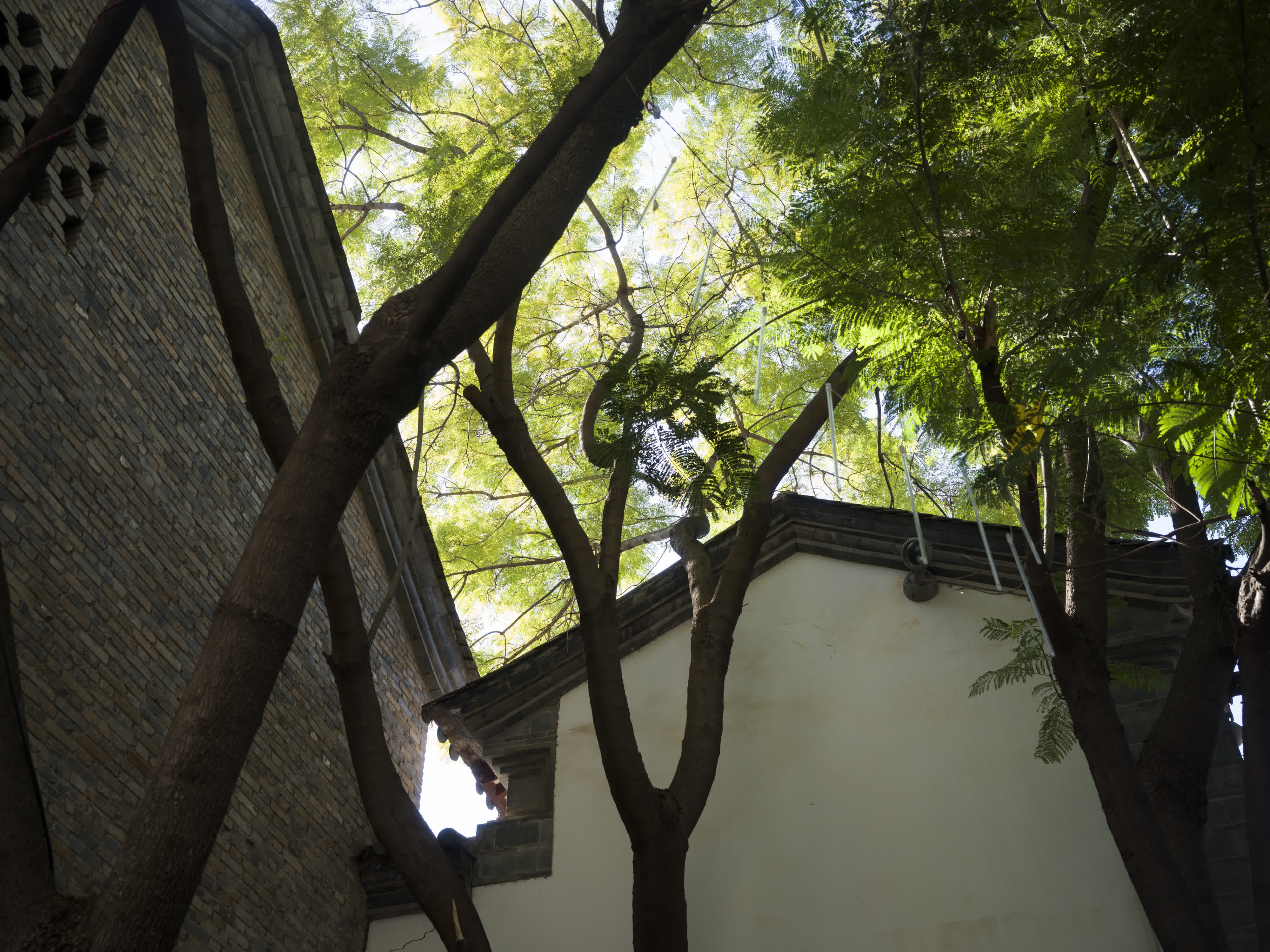 Kunming in a Nutshell photo 5 by Bowen Hou