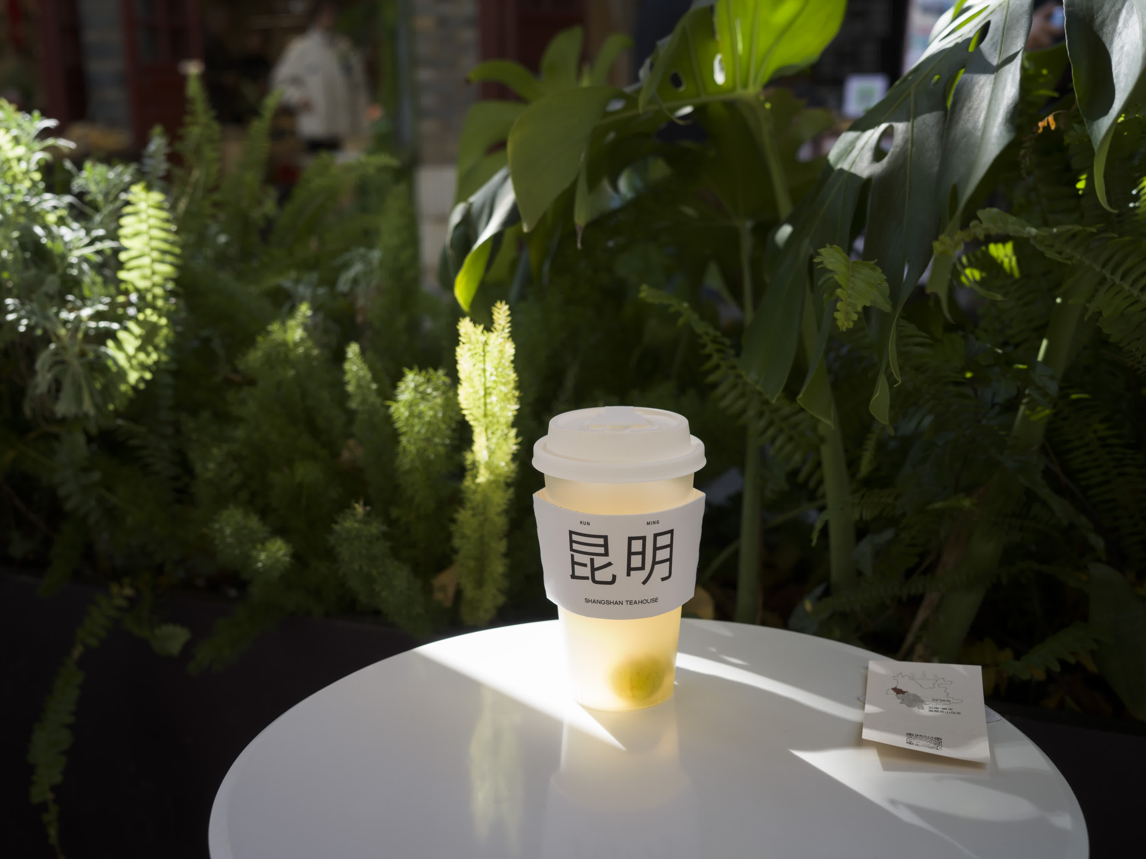 Kunming in a Nutshell photo 6 by Bowen Hou
