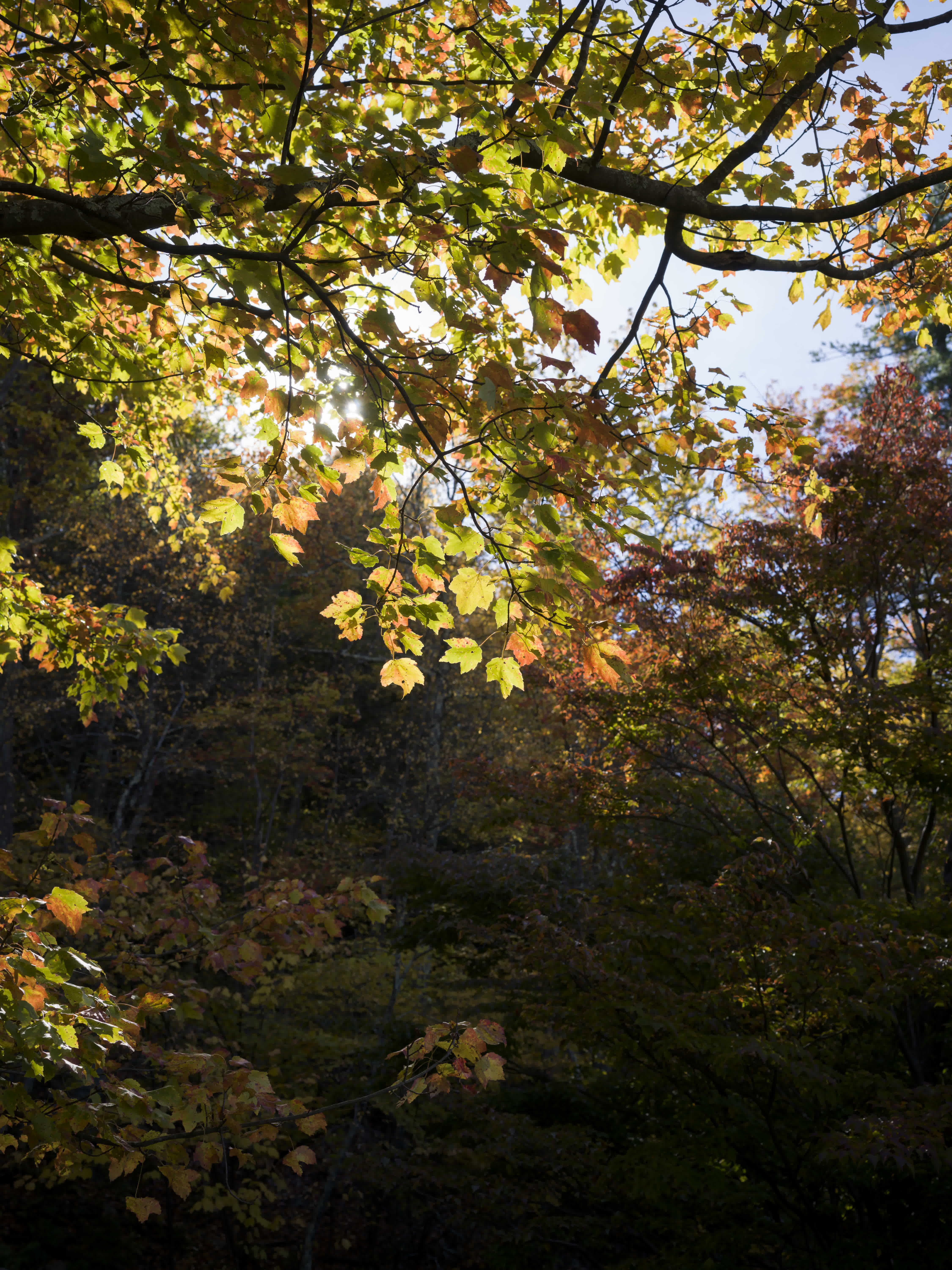 Mohonk Mountain photo 2 by Bowen Hou