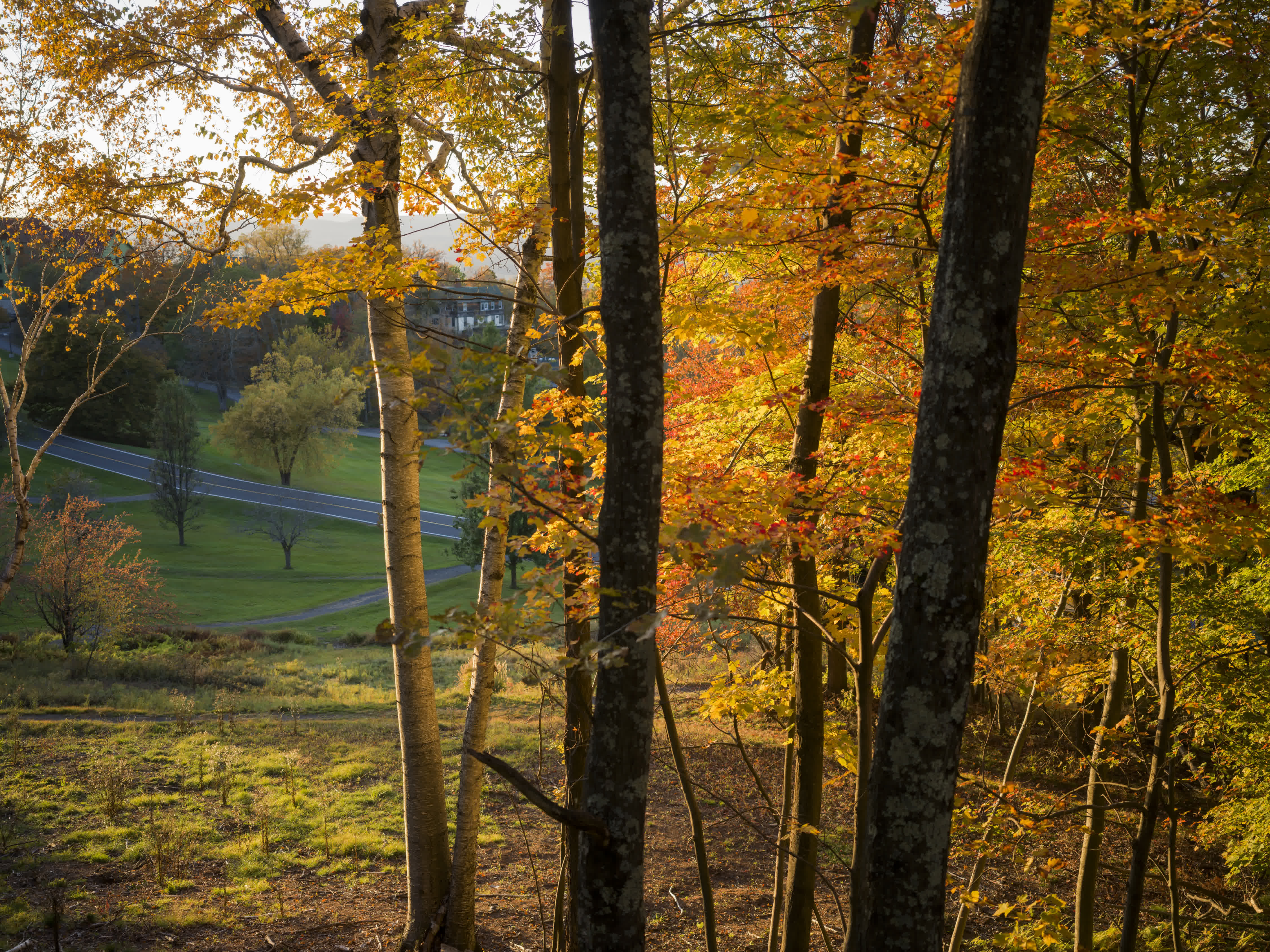 Mohonk Mountain photo 4 by Bowen Hou