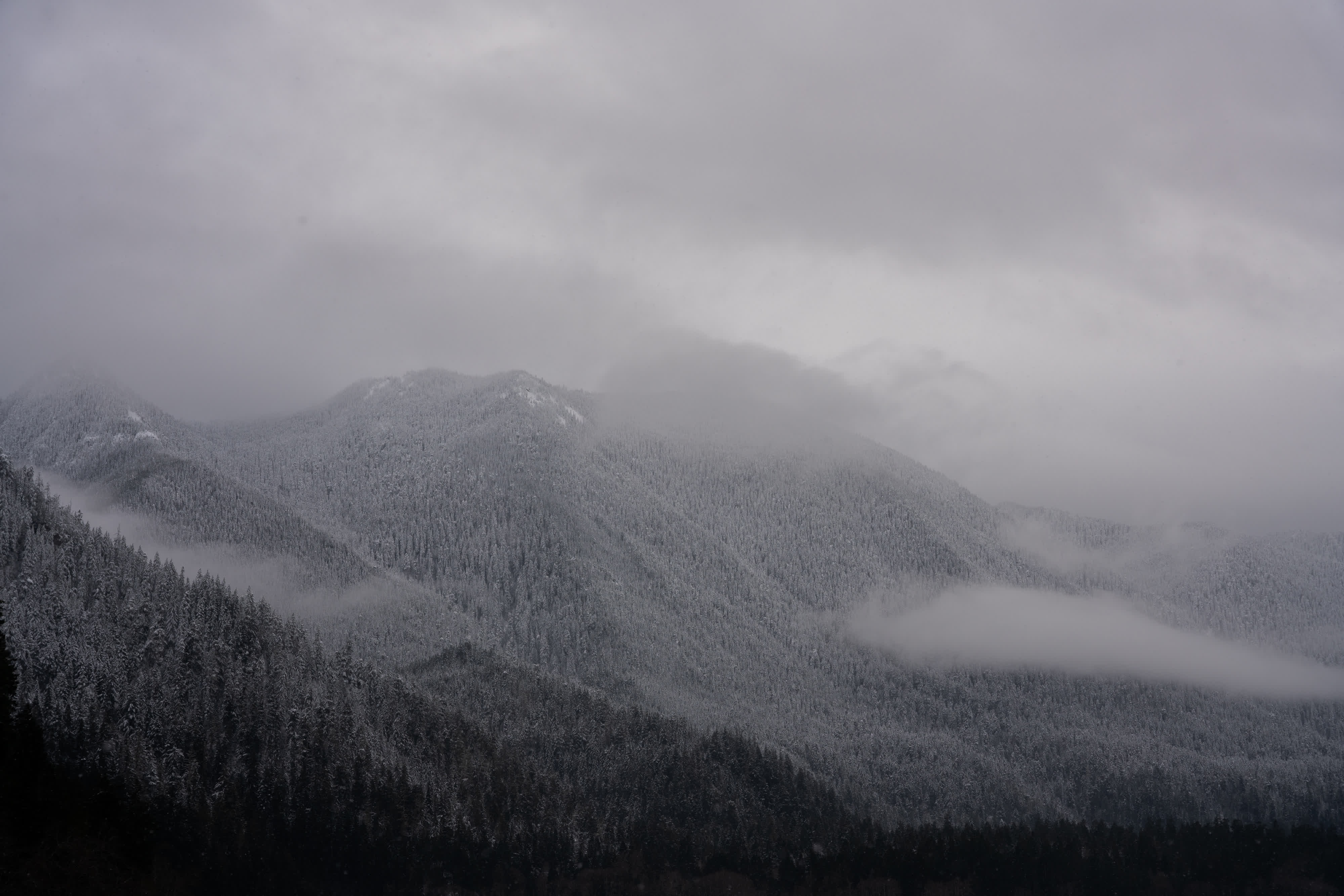 Olympic NP 2021 photo 4 by Bowen Hou