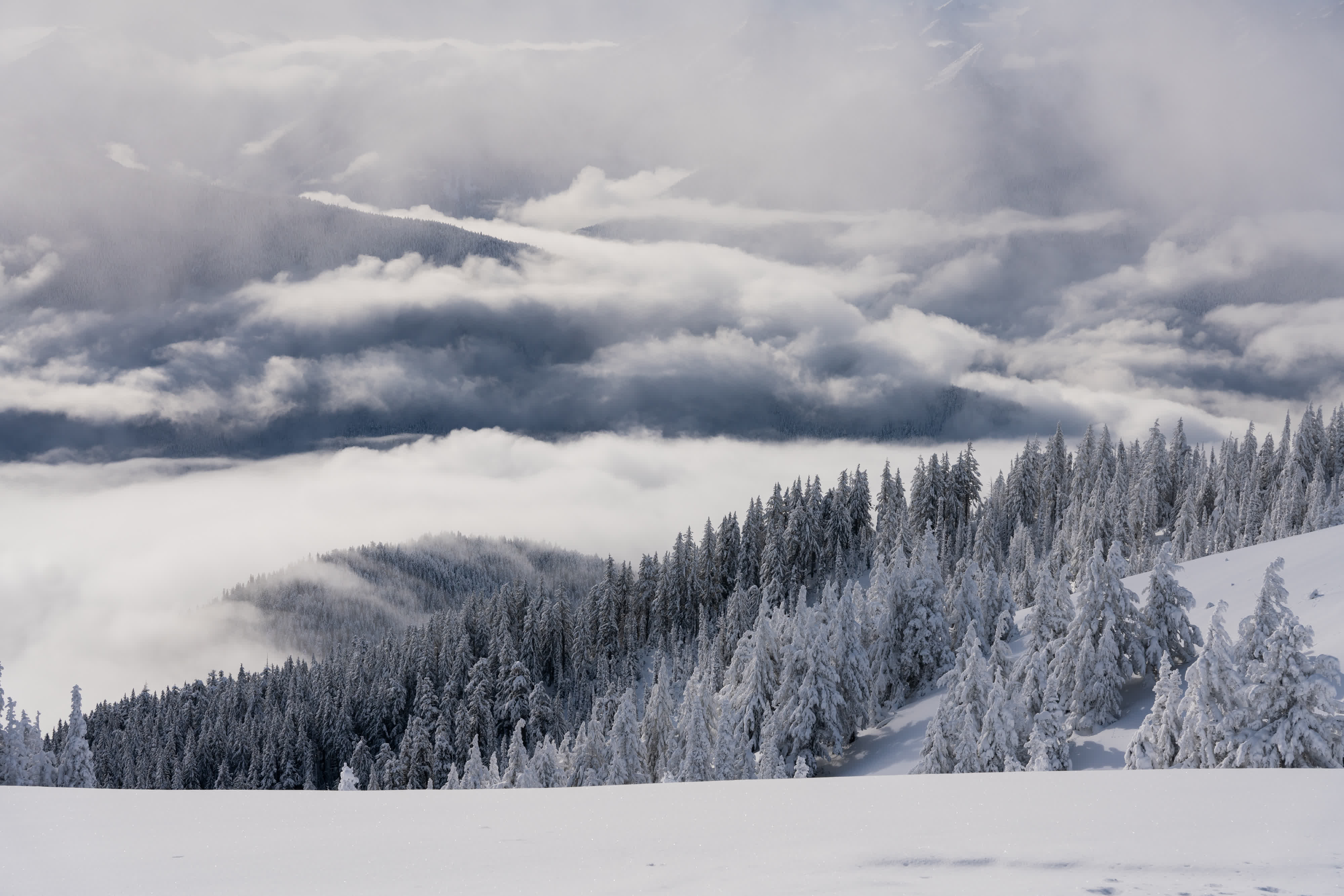Olympic NP 2021 photo 2 by Bowen Hou