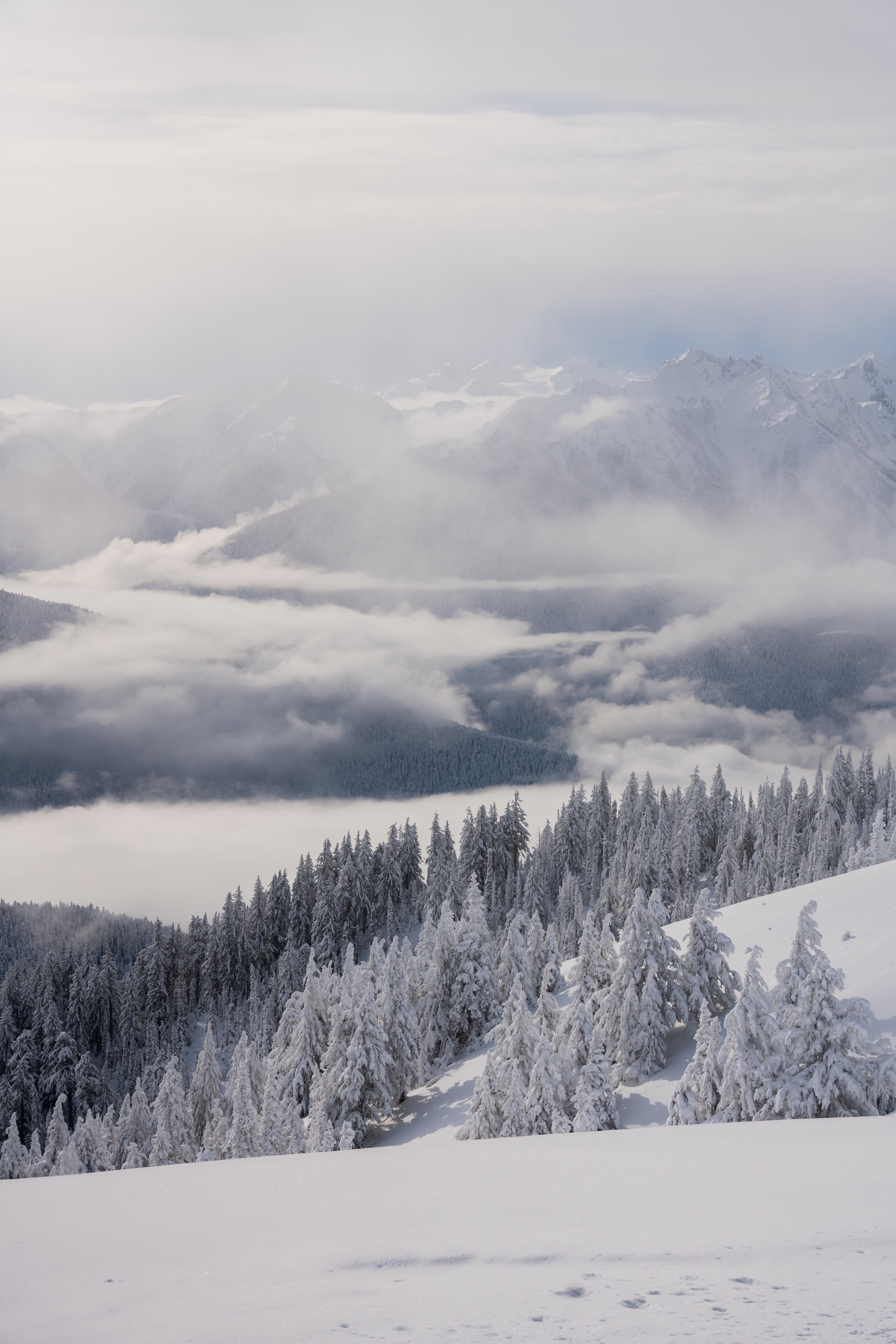 Olympic NP 2021 photo 3 by Bowen Hou