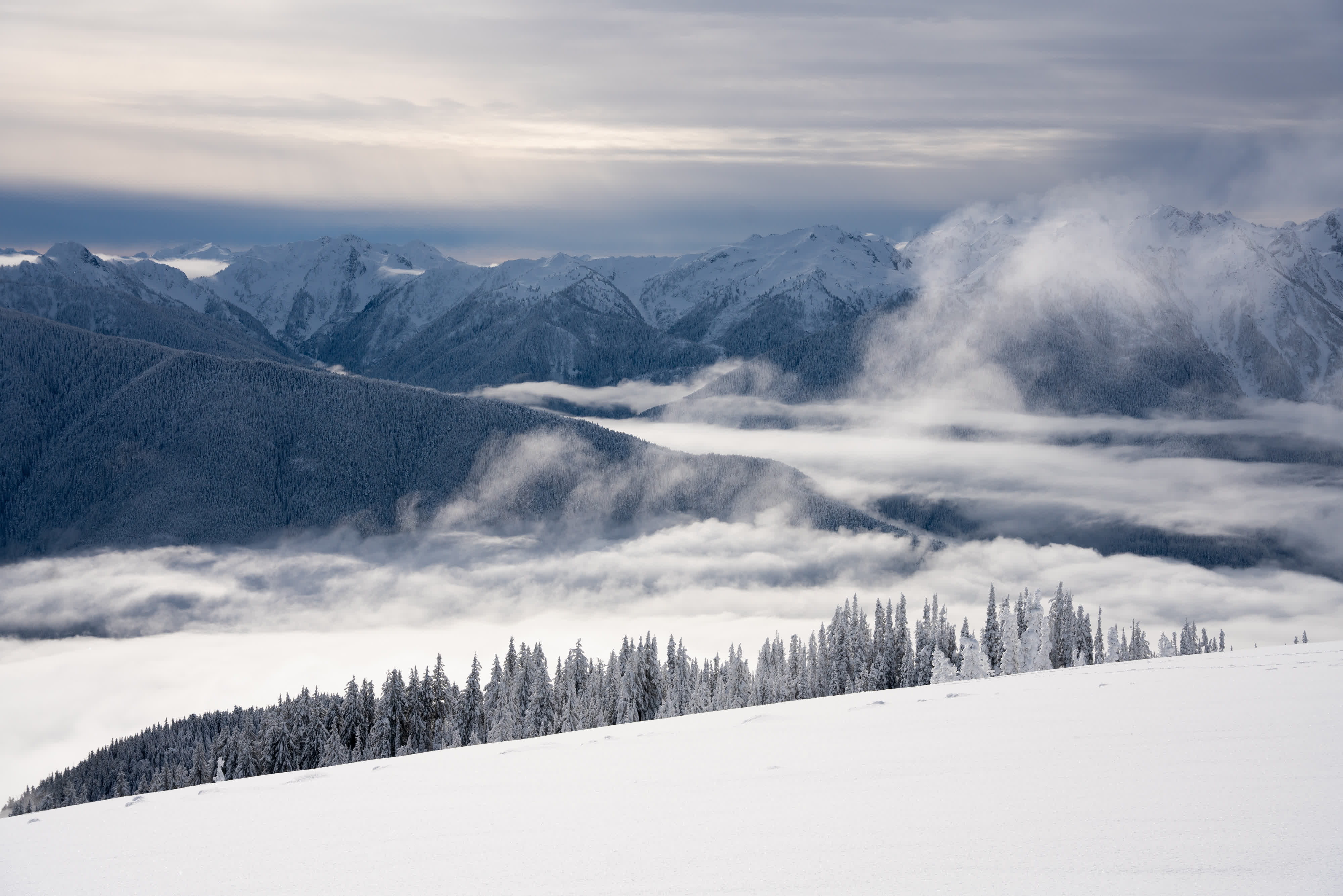 Olympic NP 2021 photo 5 by Bowen Hou