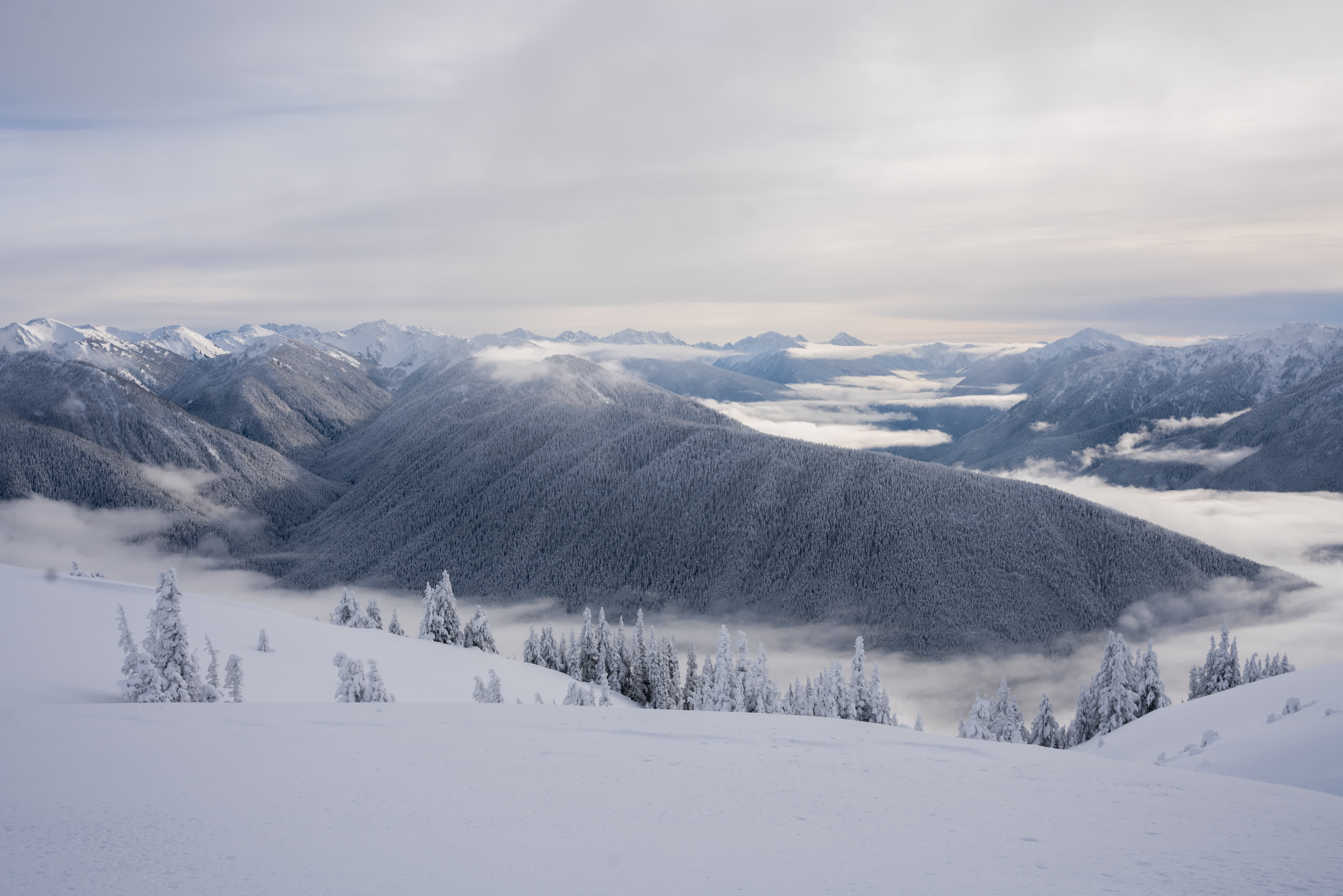 Olympic NP 2021 photo 6 by Bowen Hou