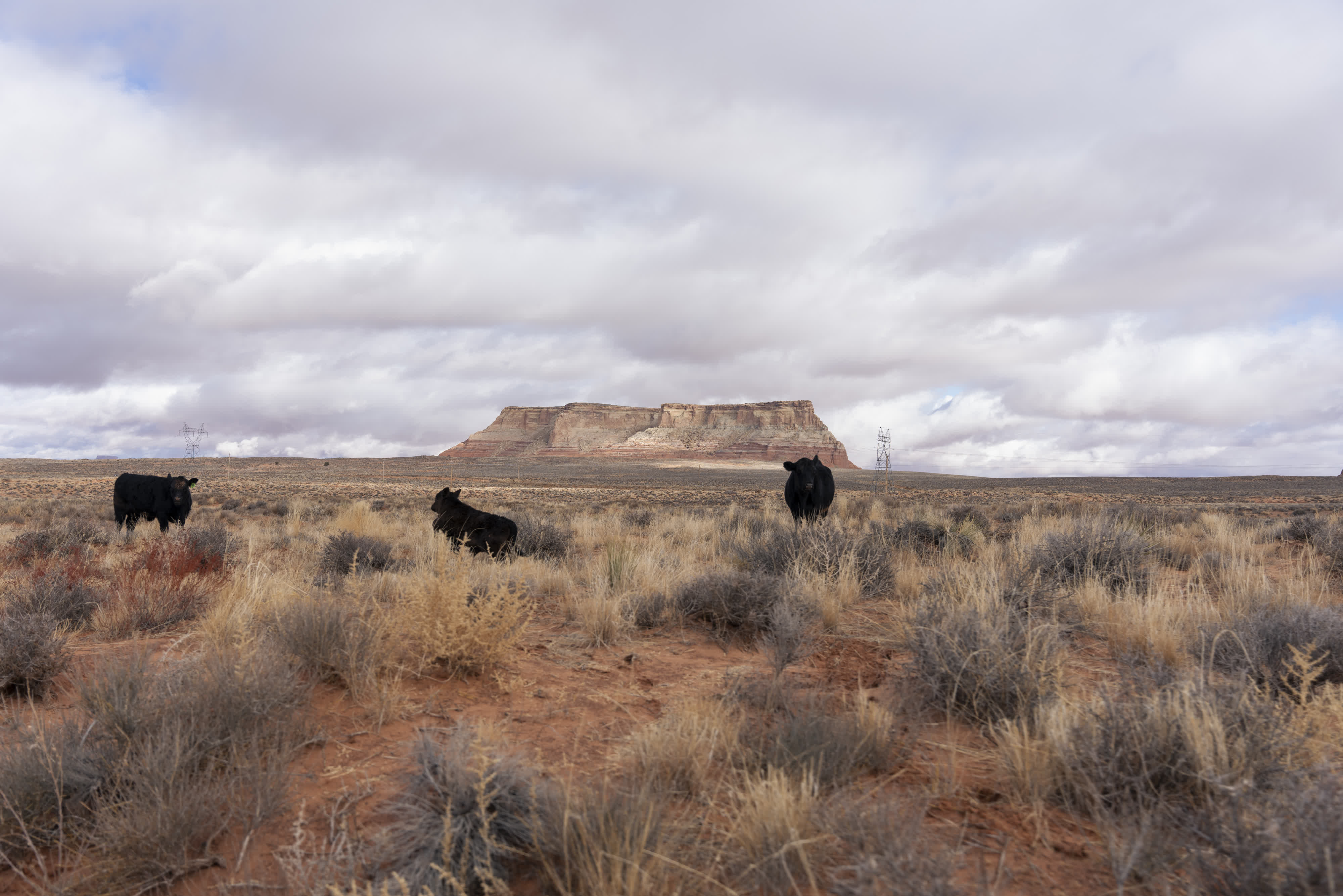 American Wilderness photo 3 by Bowen Hou