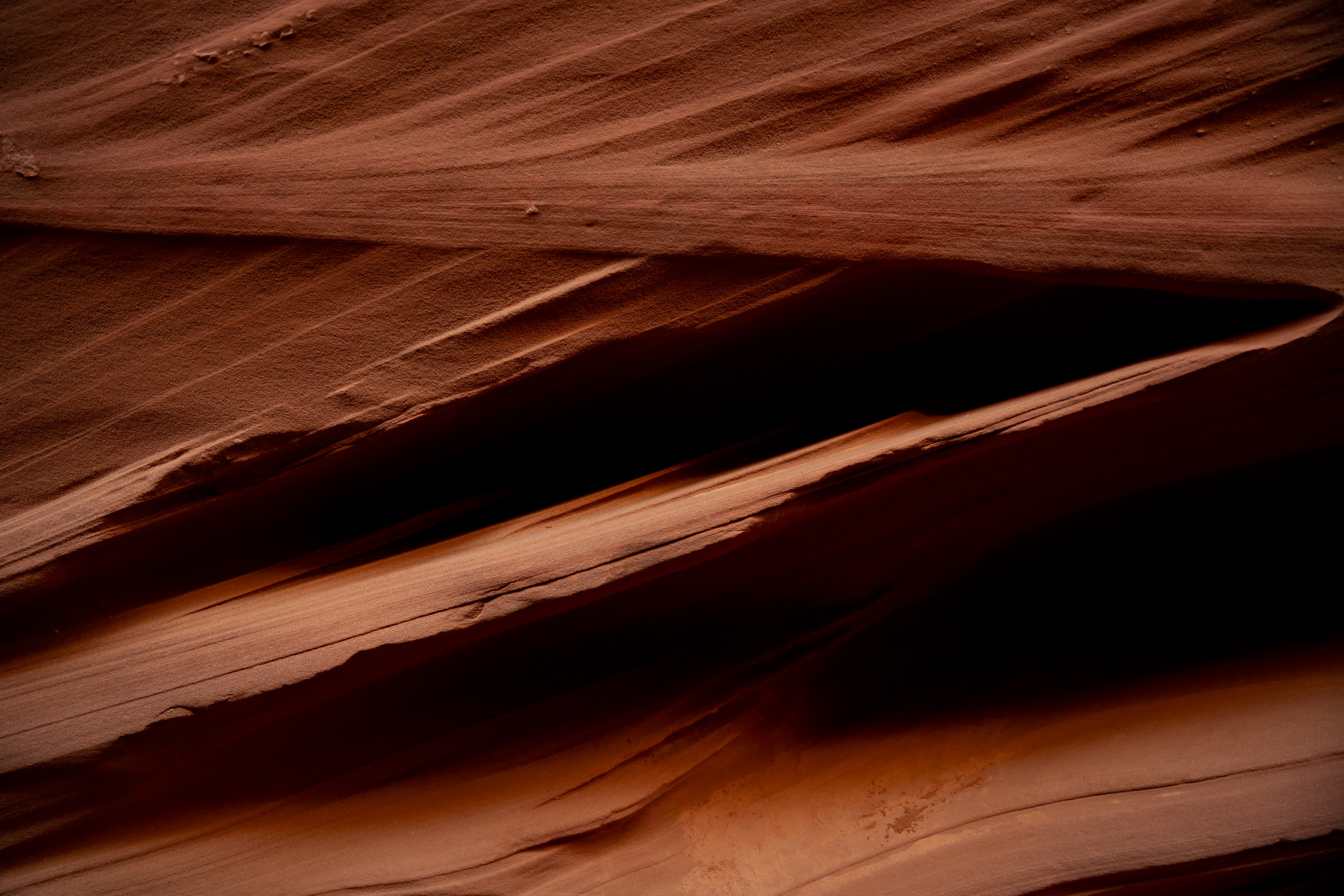 American Wilderness photo 4 by Bowen Hou