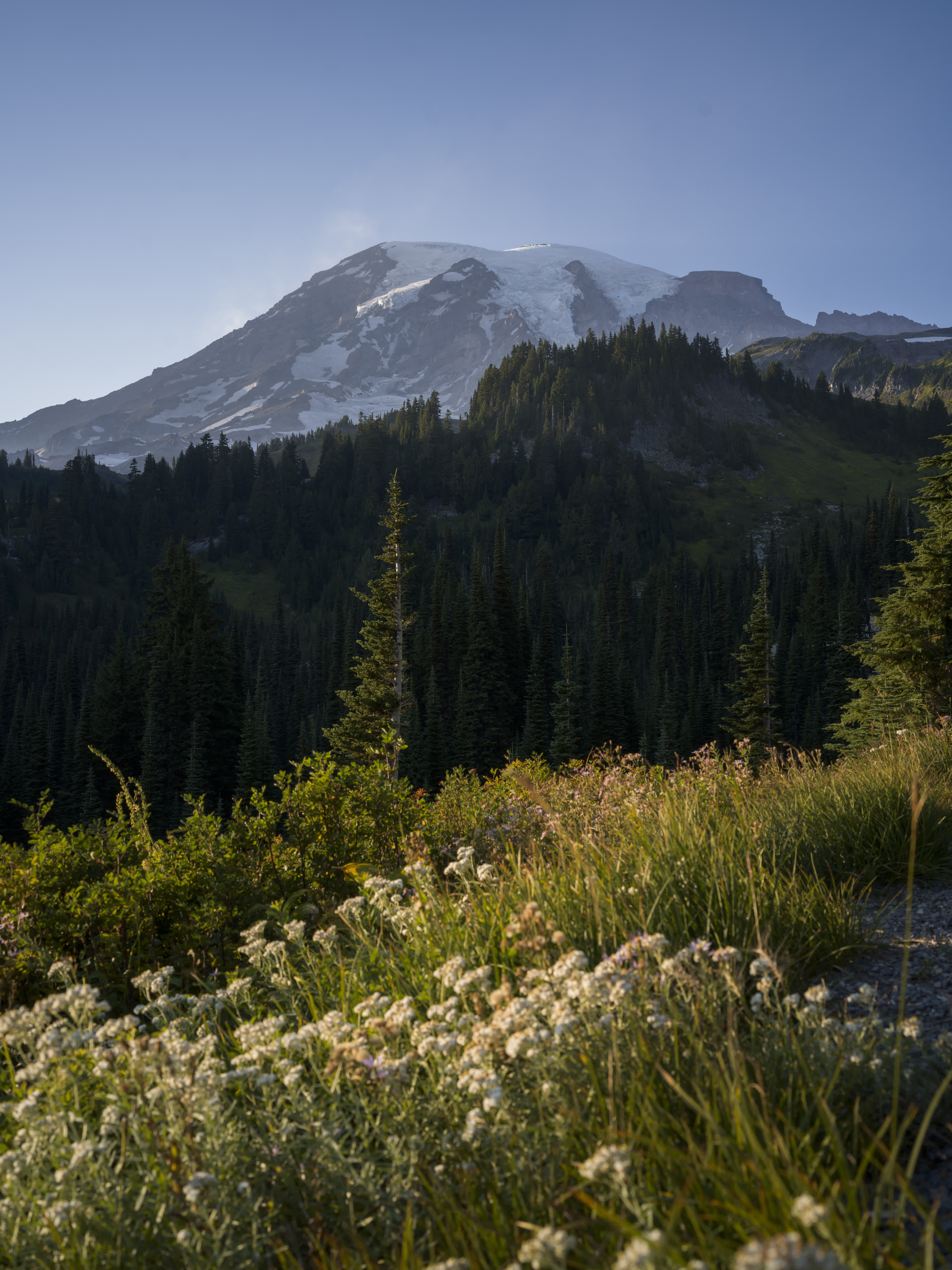 Mt. Rainier NP 2024 photo 5 by Bowen Hou