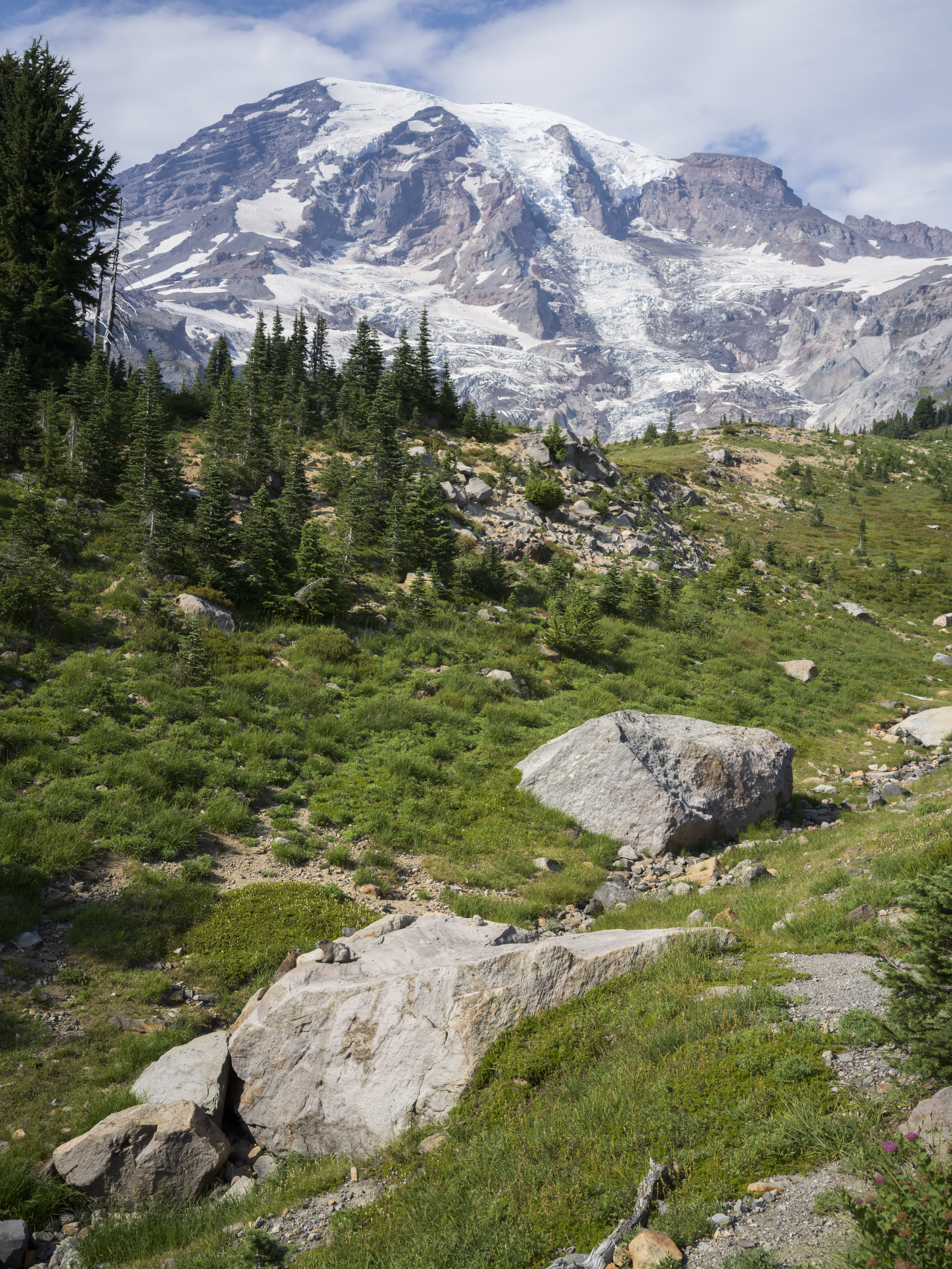 Mt. Rainier NP 2024 photo 2 by Bowen Hou