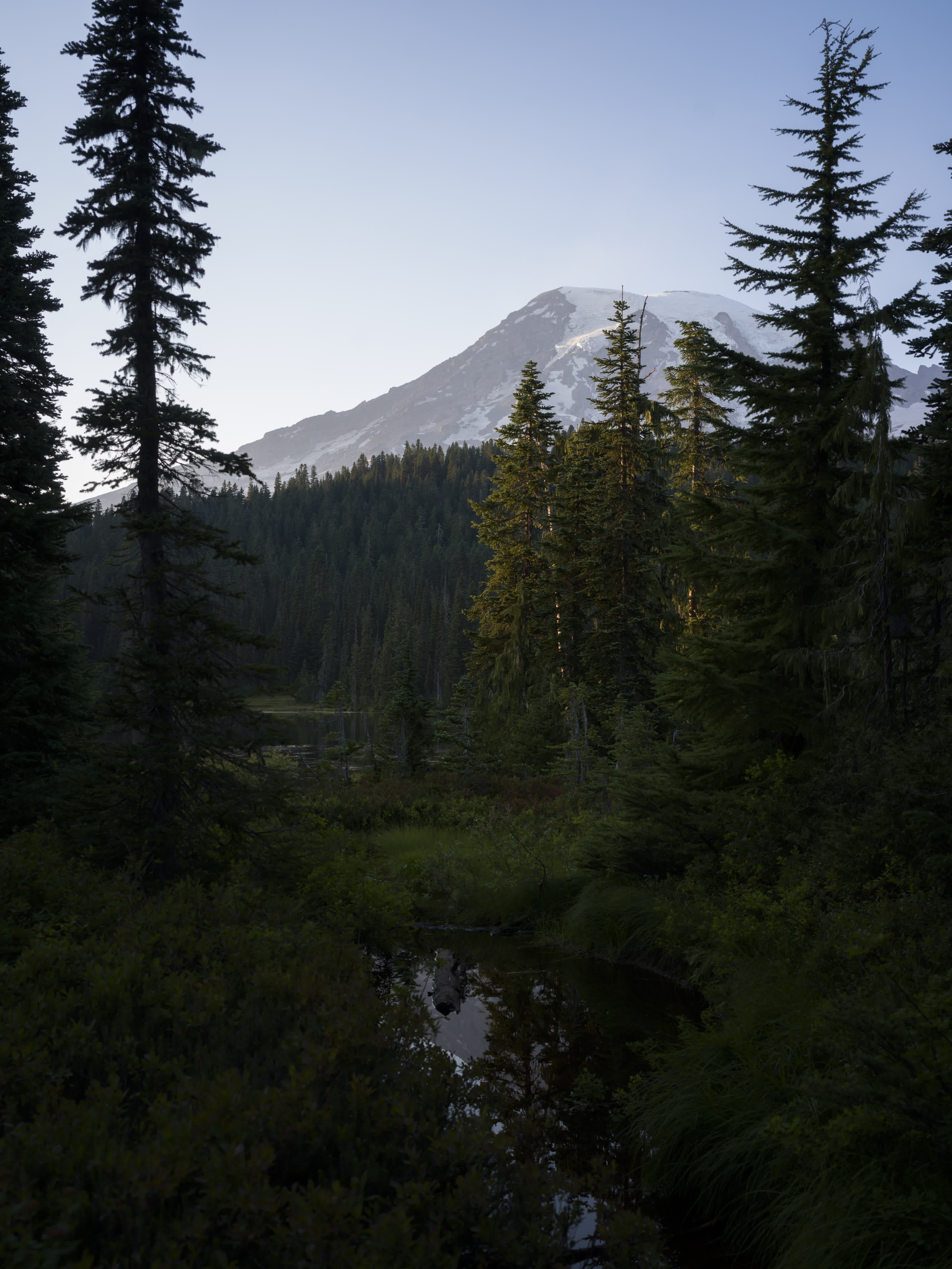 Mt. Rainier NP 2024 photo 4 by Bowen Hou