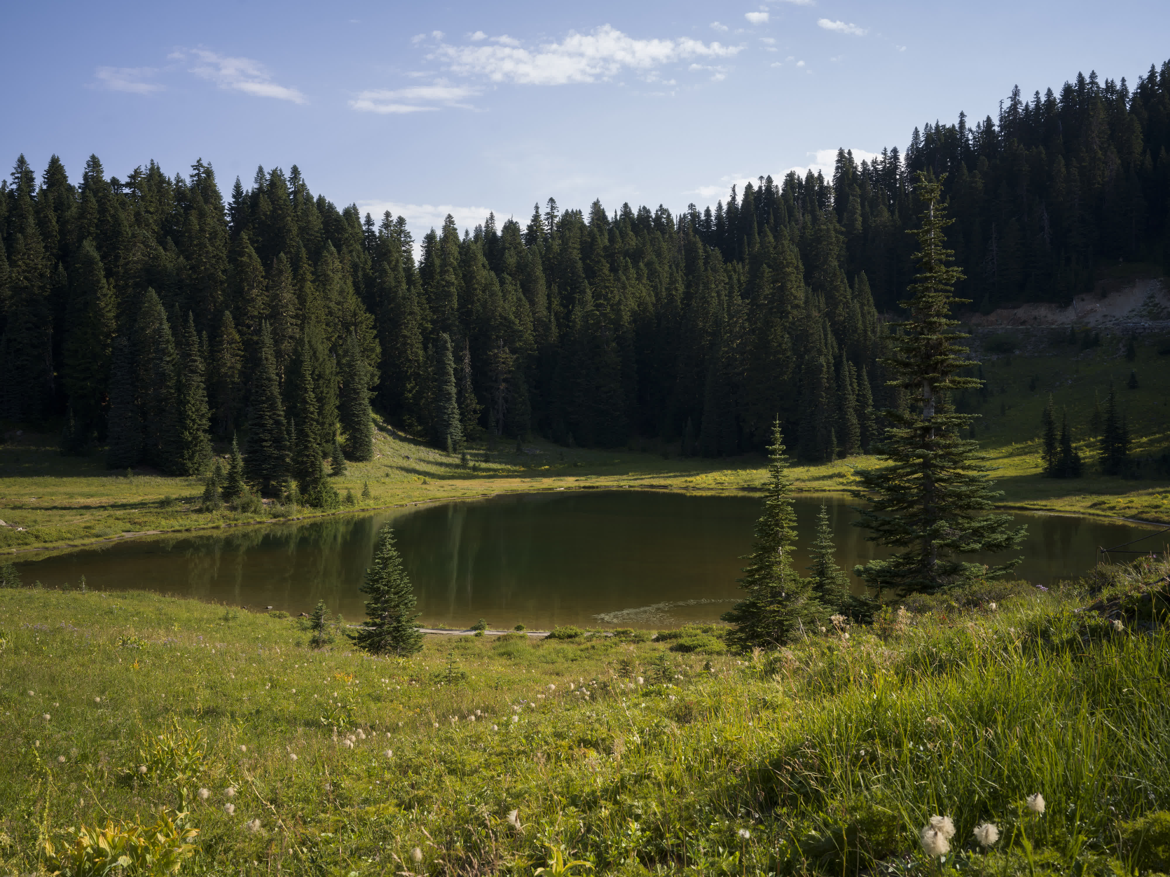 Mt. Rainier NP 2024 photo 6 by Bowen Hou