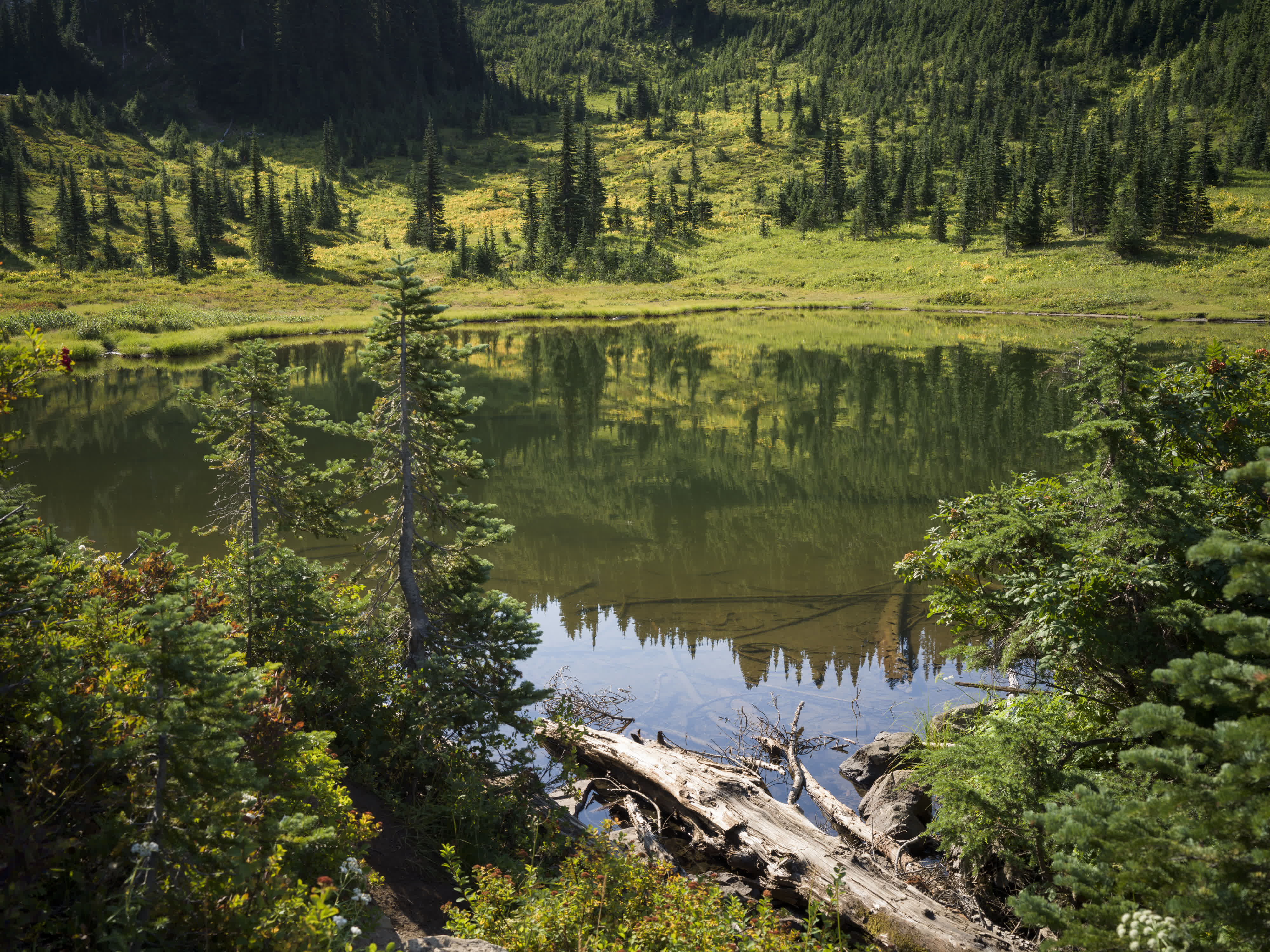 Mt. Rainier NP 2024 photo 7 by Bowen Hou