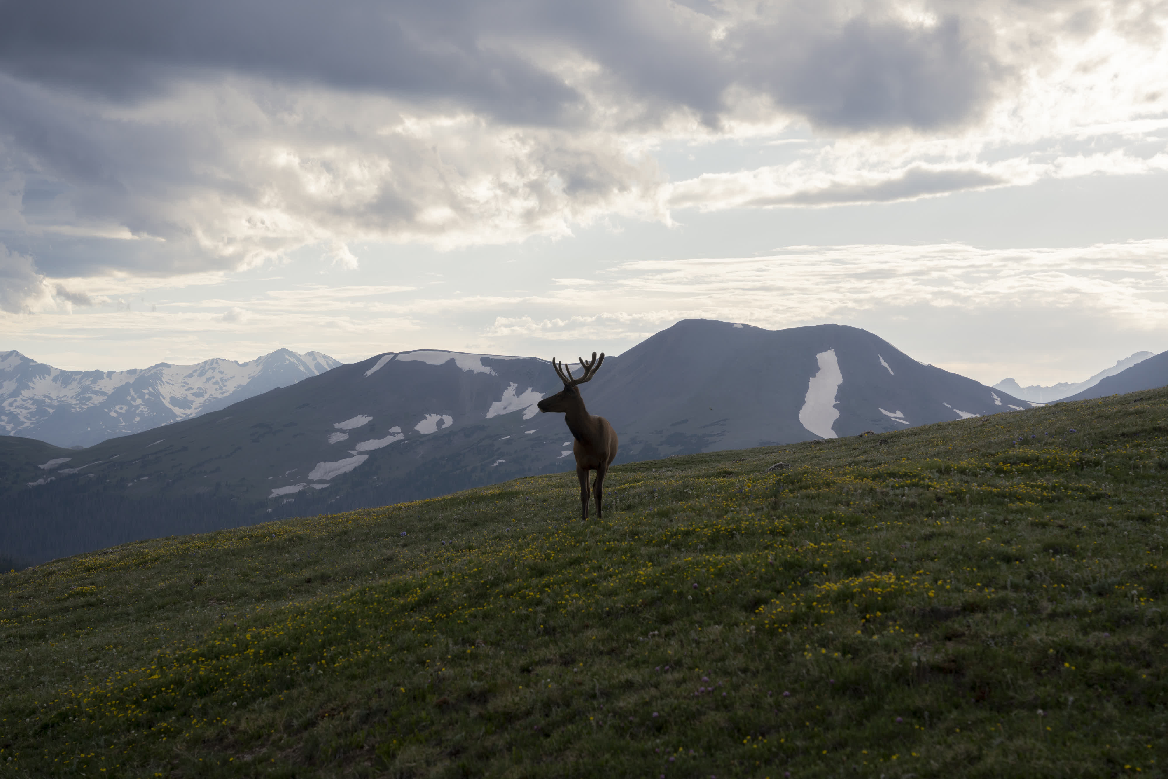 Rocky Mt NP 2022 photo 1 by Bowen Hou
