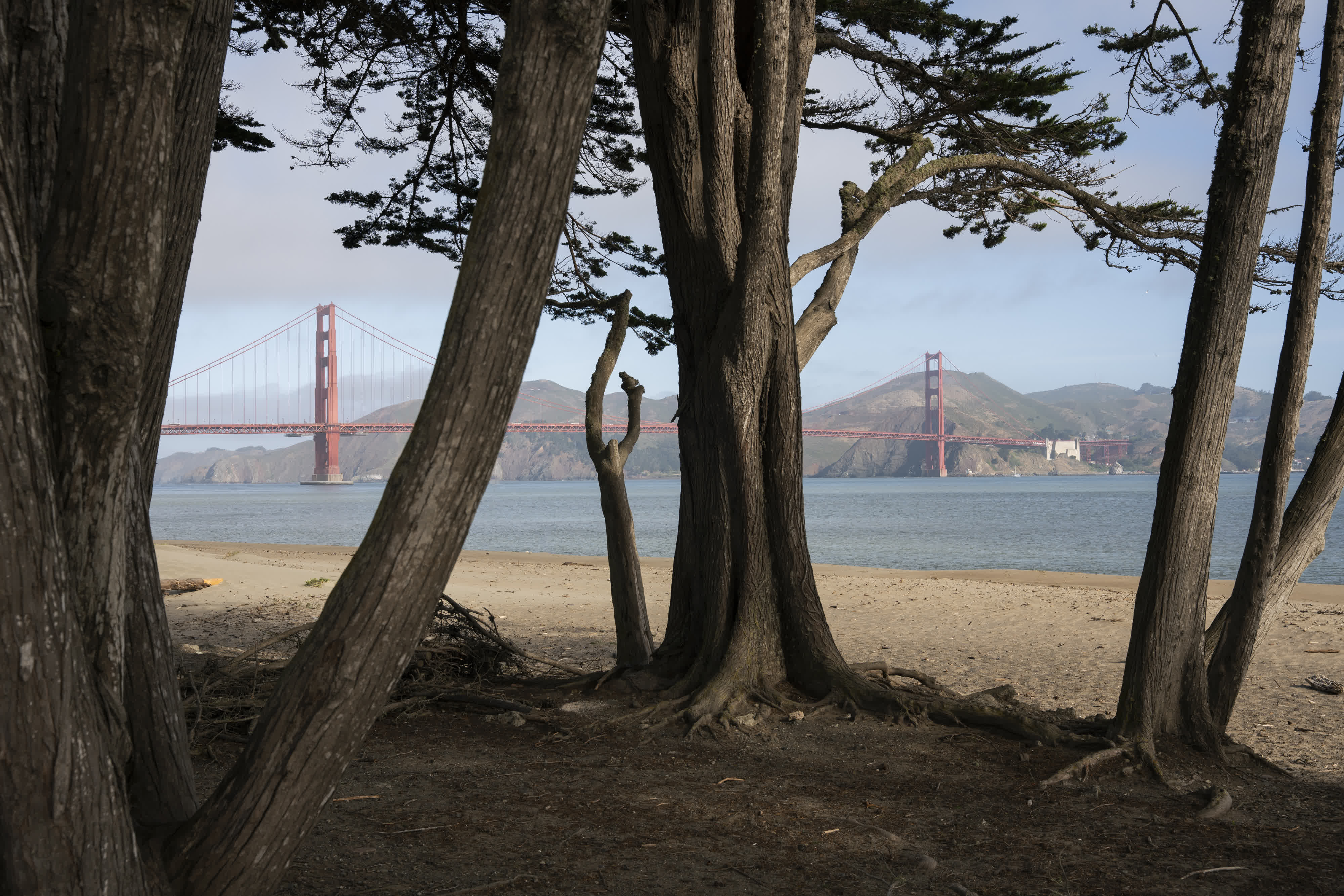 Presidio photo 1 by Bowen Hou