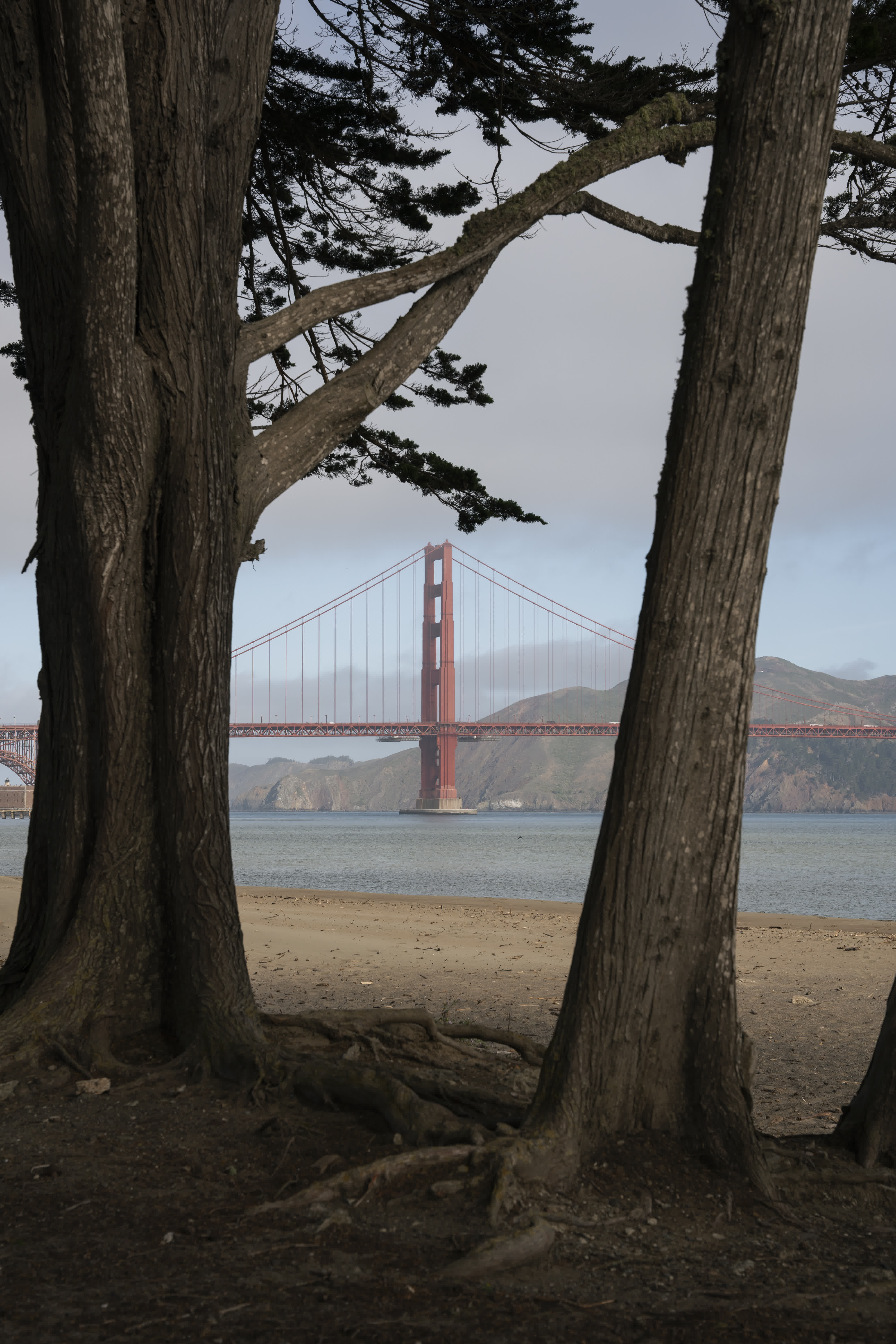 Presidio photo 5 by Bowen Hou