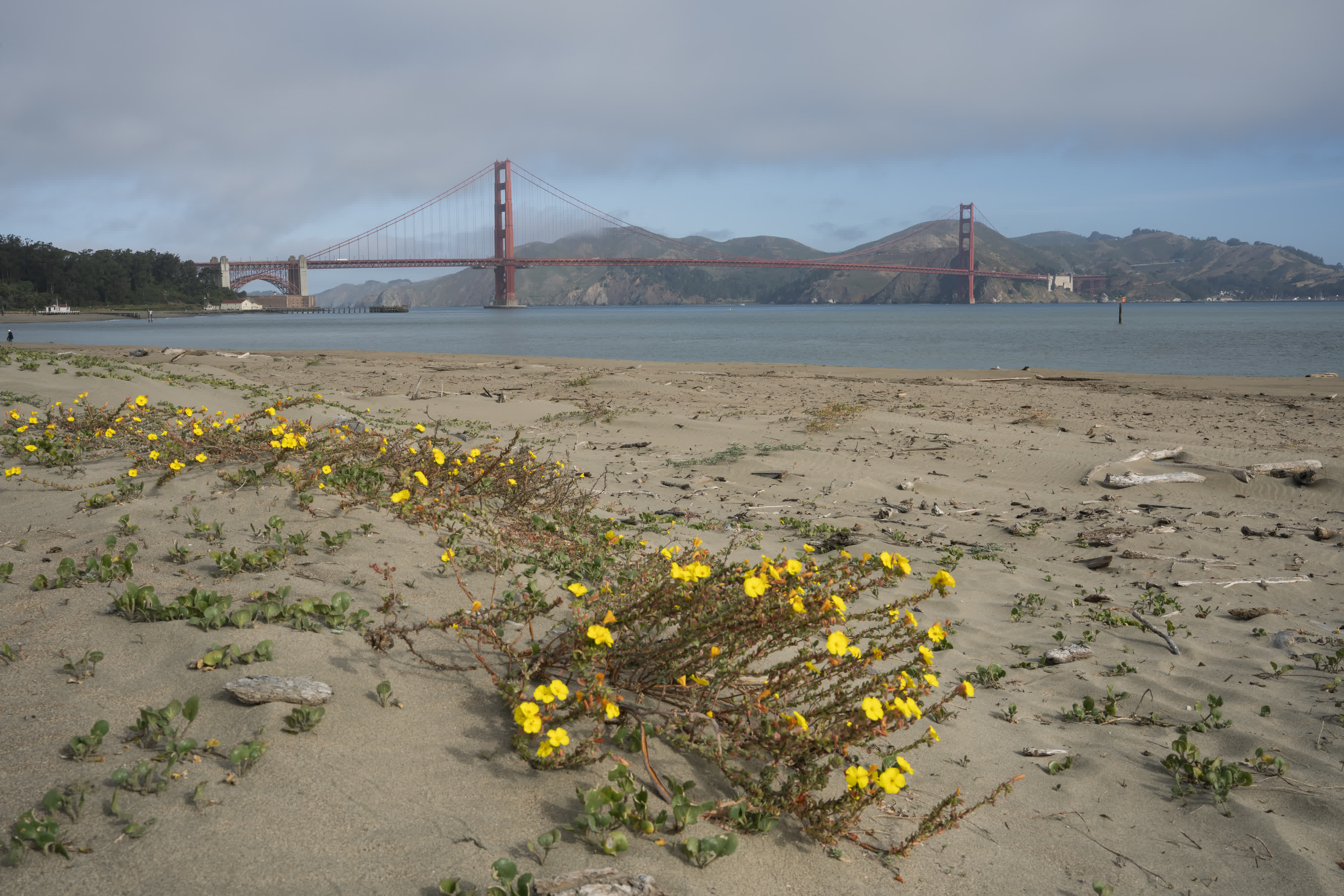Presidio photo 6 by Bowen Hou
