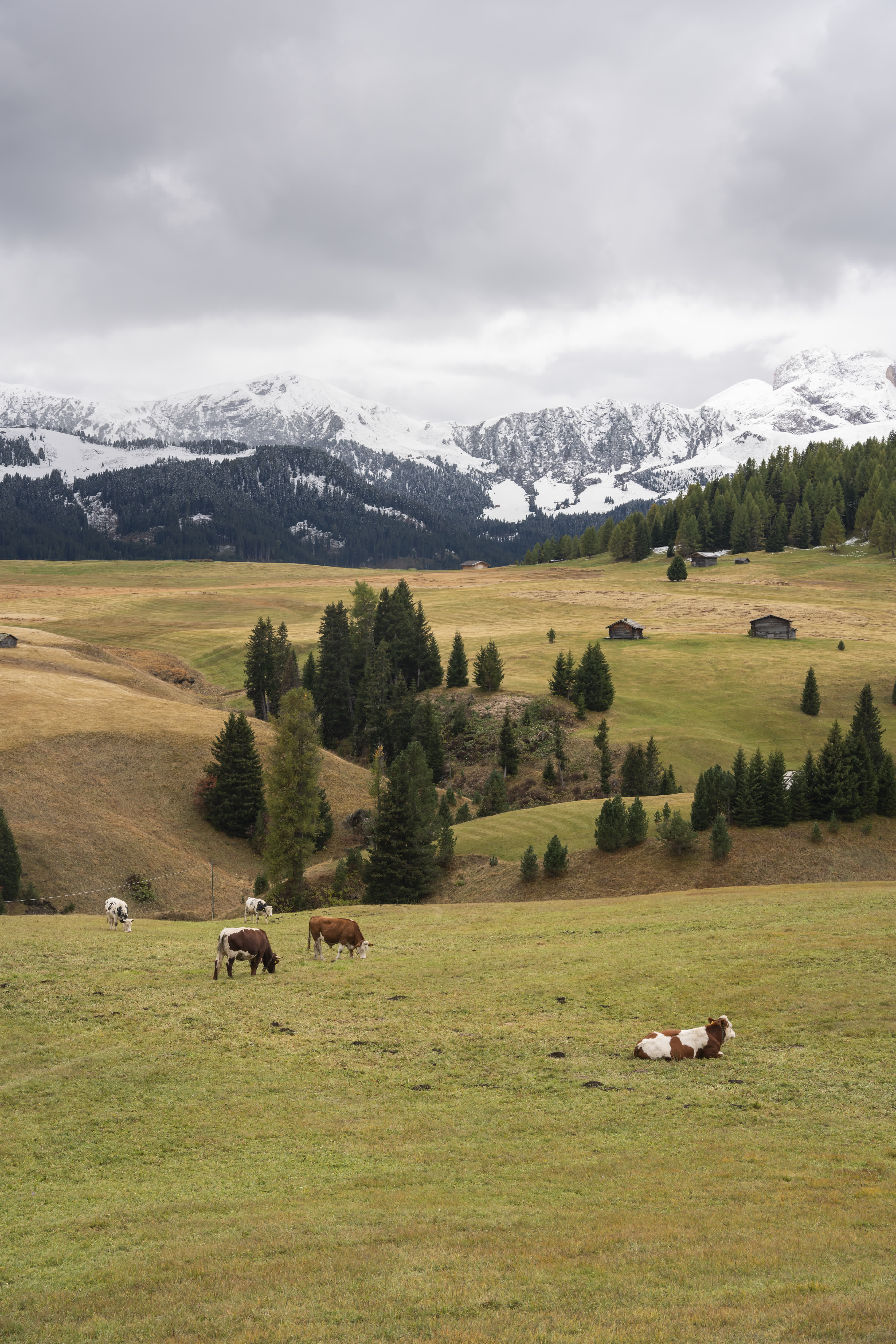 Seis am Schlern photo 3 by Bowen Hou