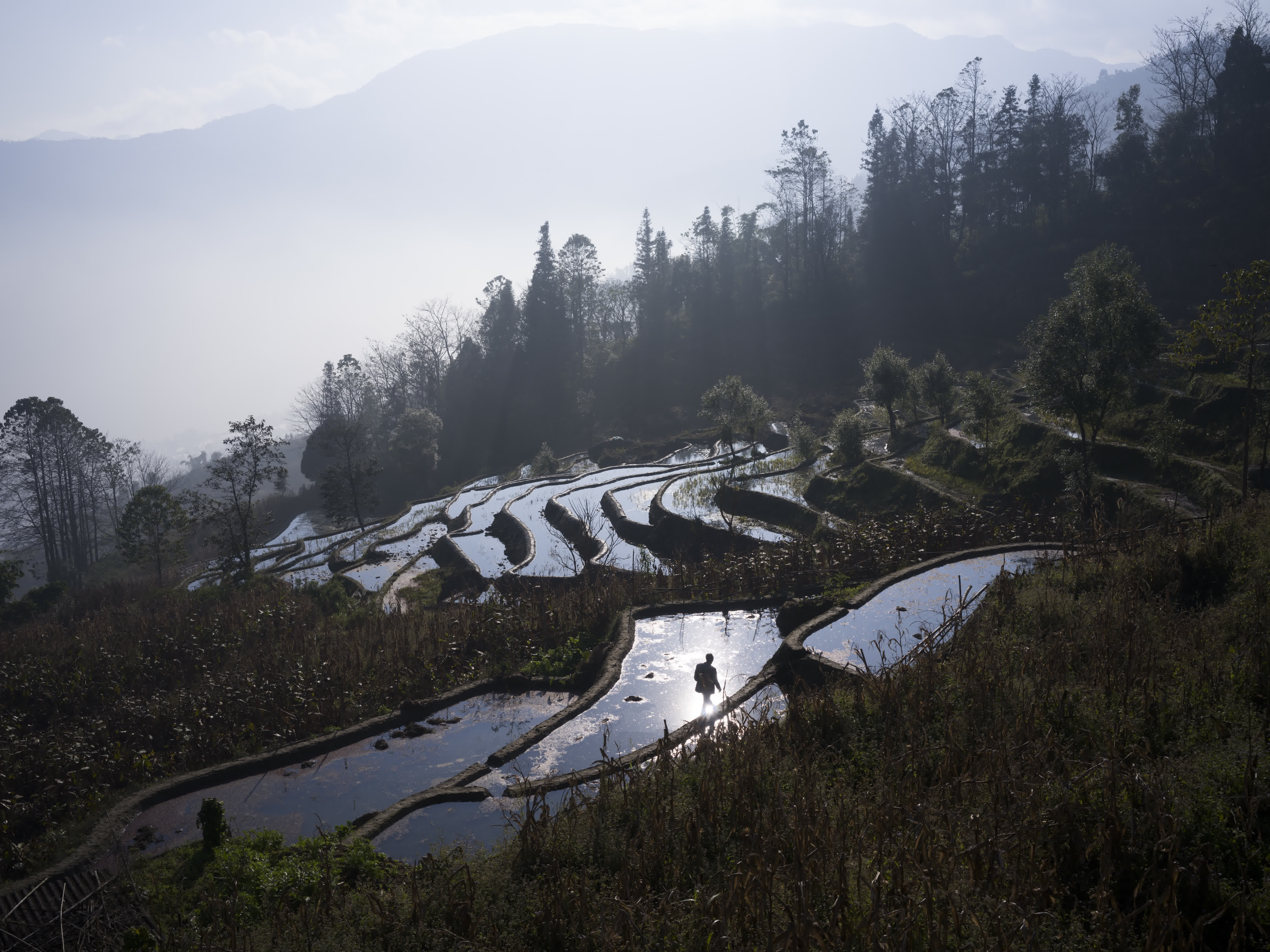 Tasa Village photo 9 by Bowen Hou