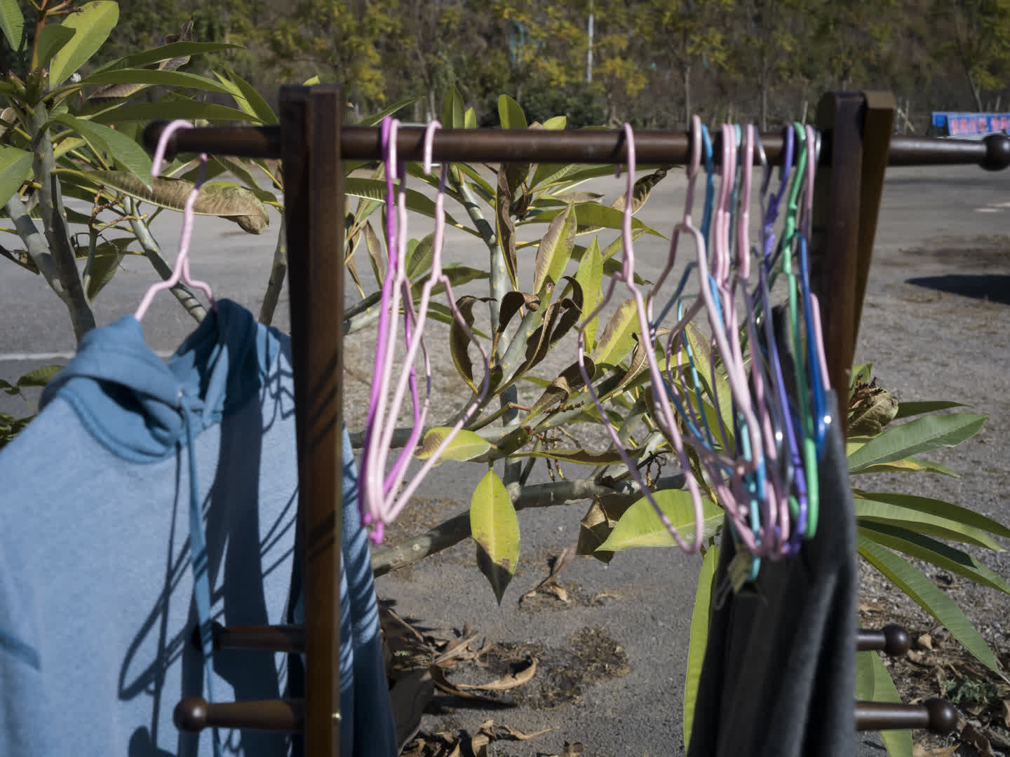 Construction in Progress