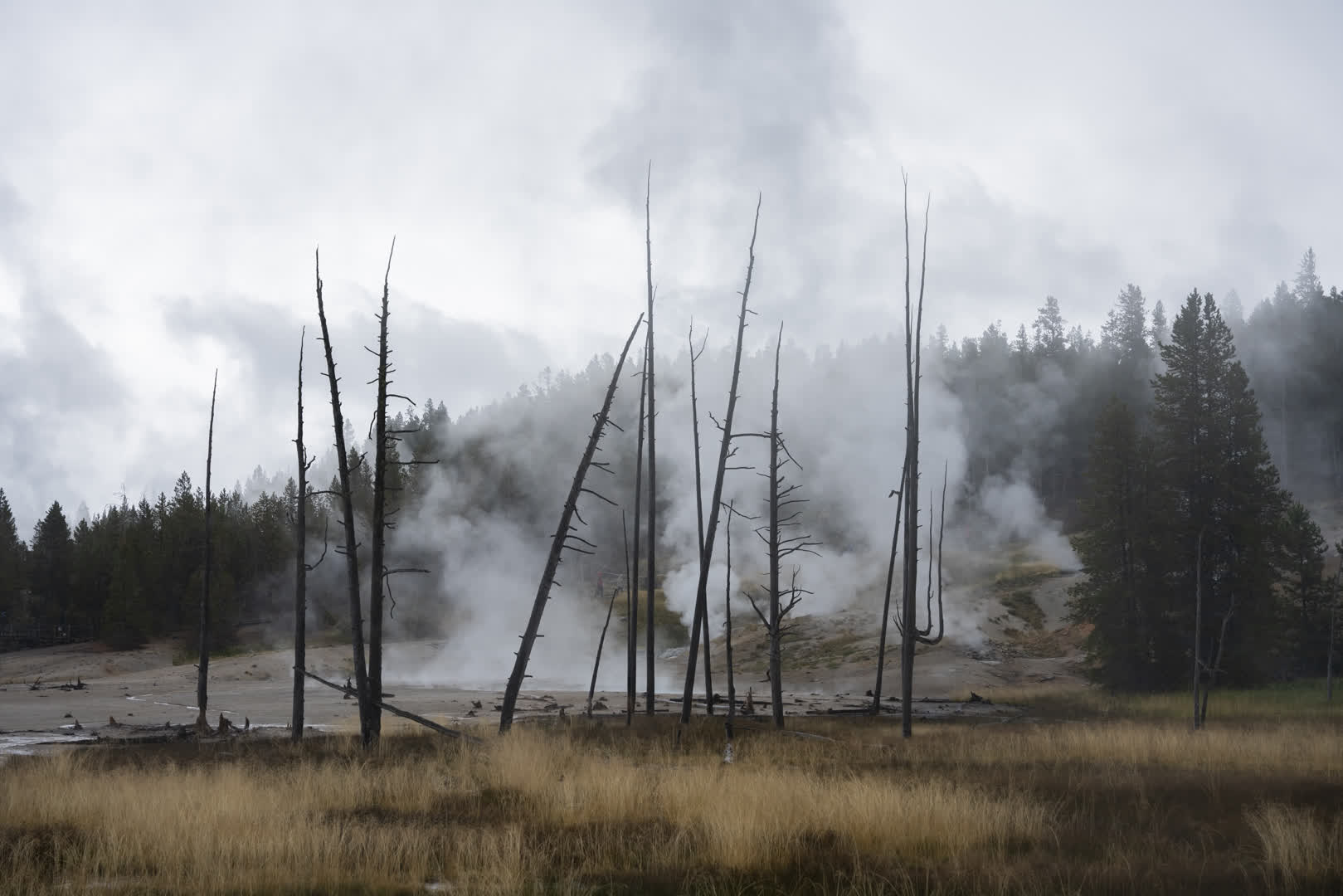 Yellowstone NP 2023