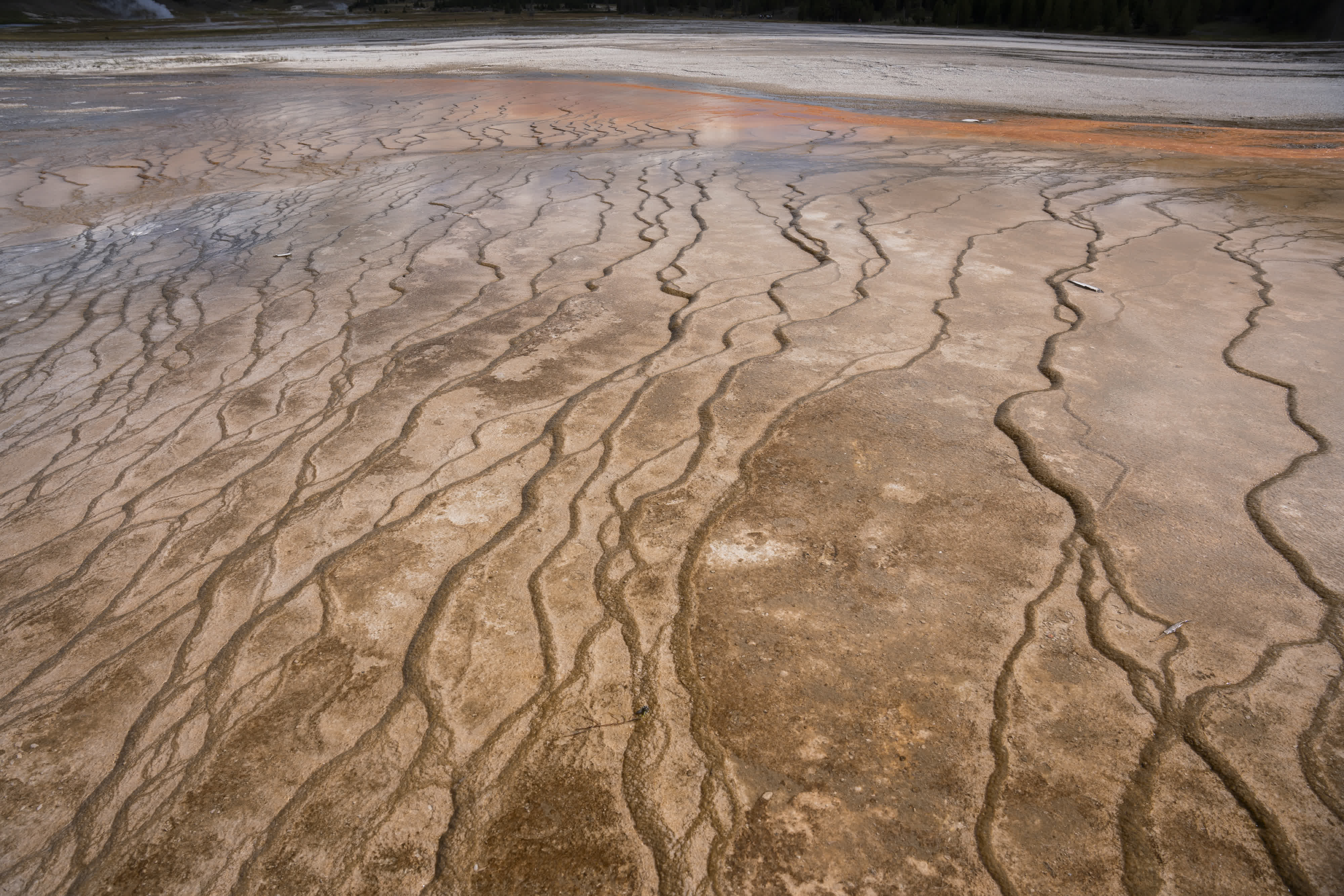 Yellowstone NP 2023 photo 4 by Bowen Hou