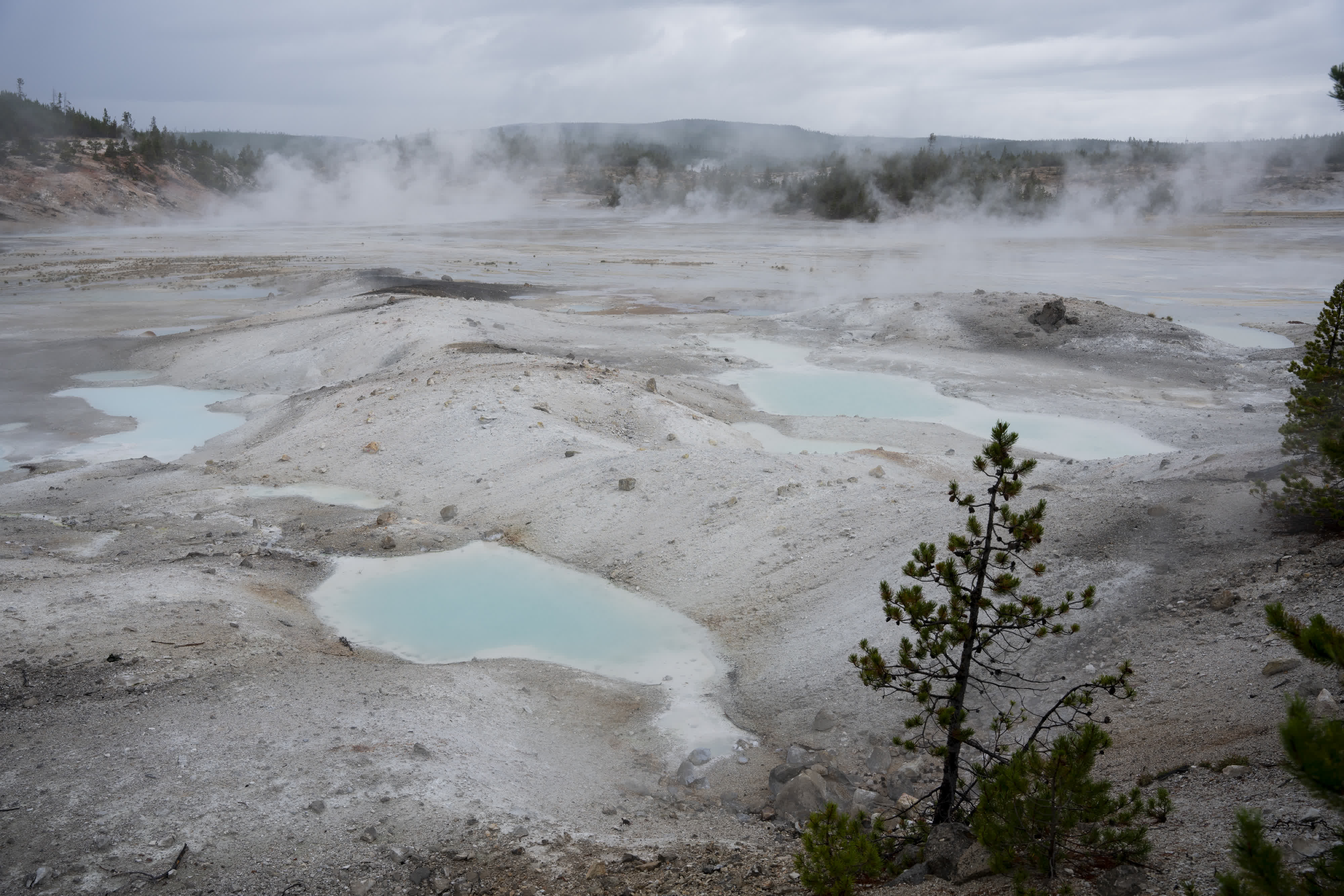 Yellowstone NP 2023 photo 7 by Bowen Hou
