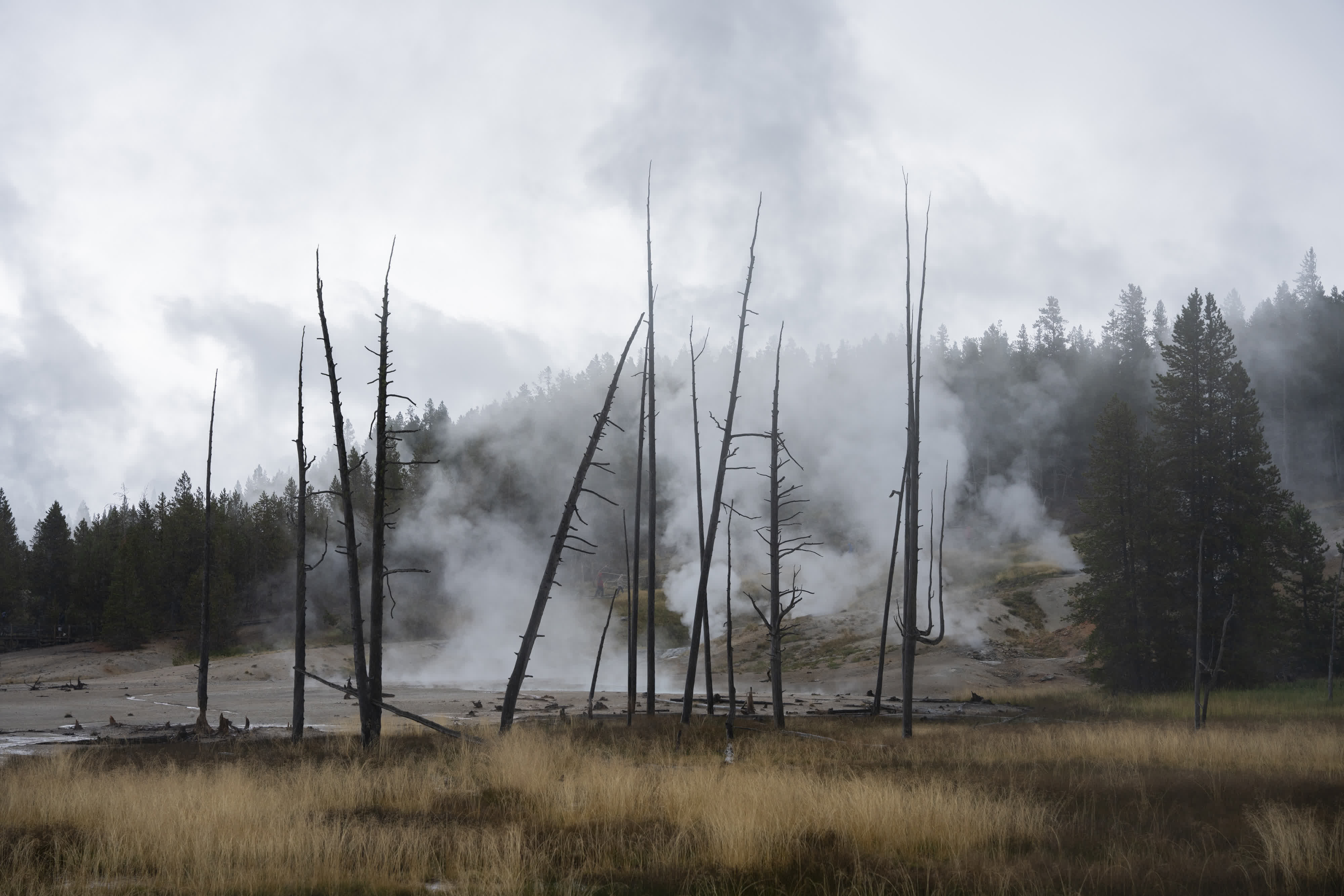Yellowstone NP 2023 photo 1 by Bowen Hou