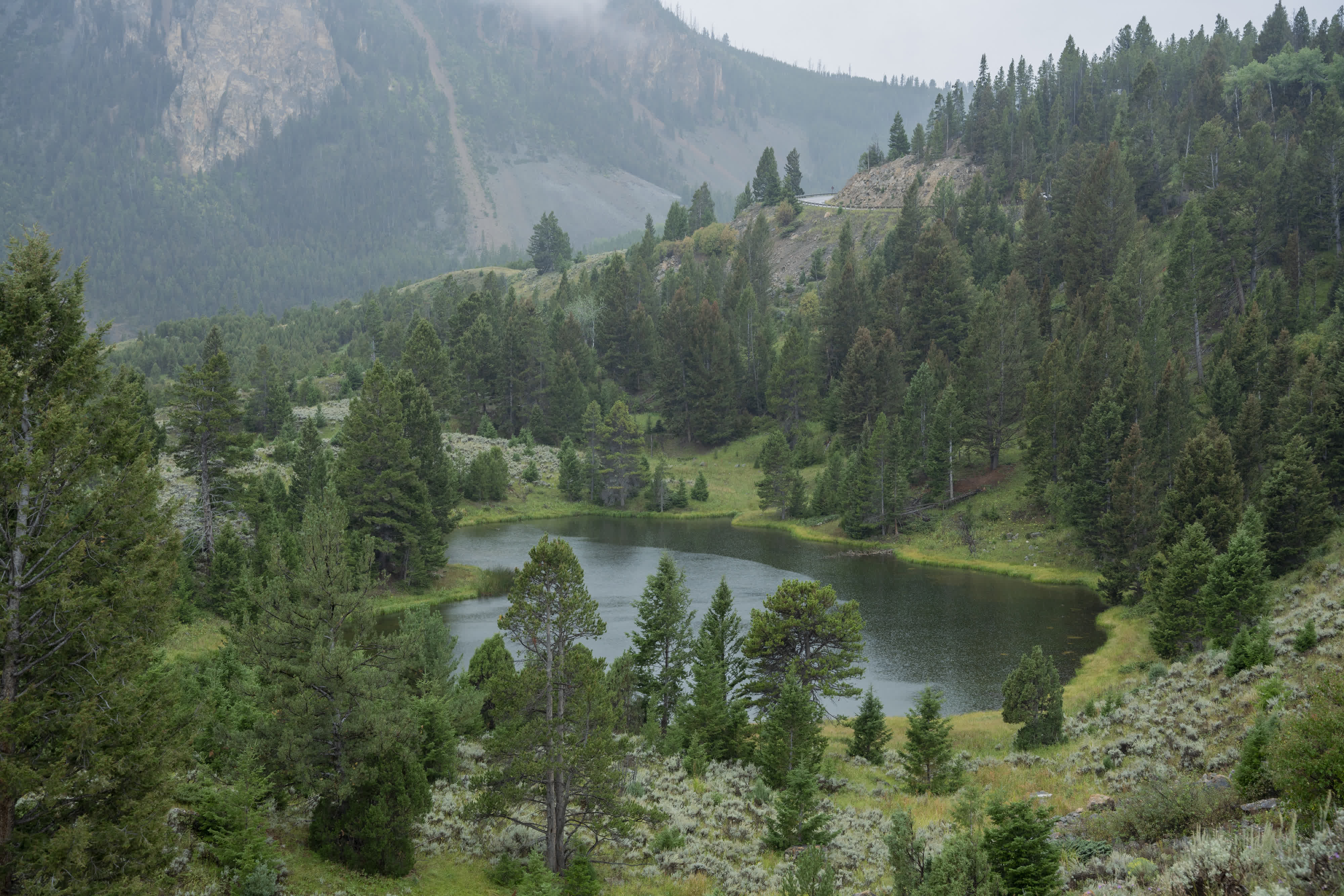 Yellowstone NP 2023 photo 9 by Bowen Hou