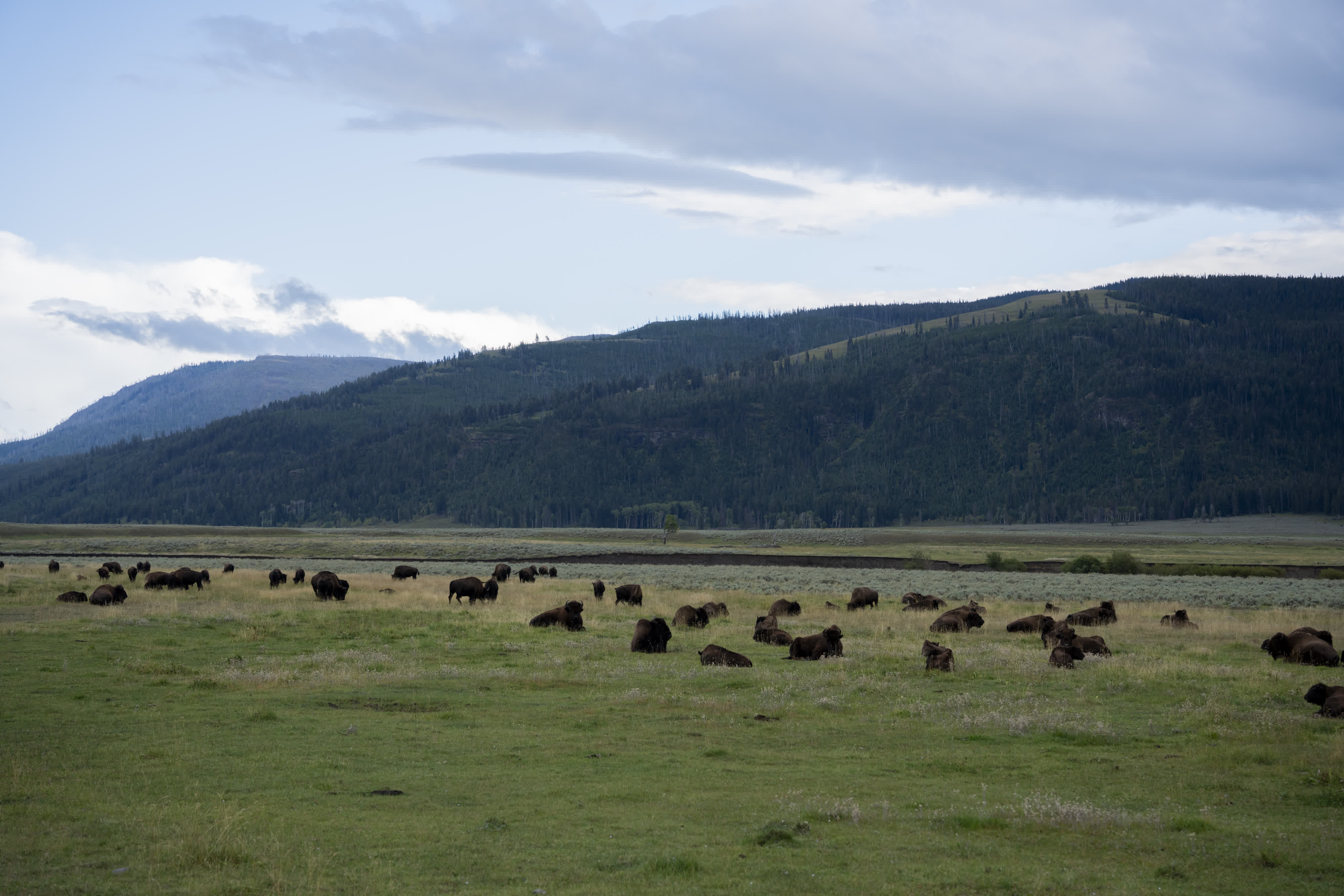 Yellowstone NP 2023 photo 10 by Bowen Hou