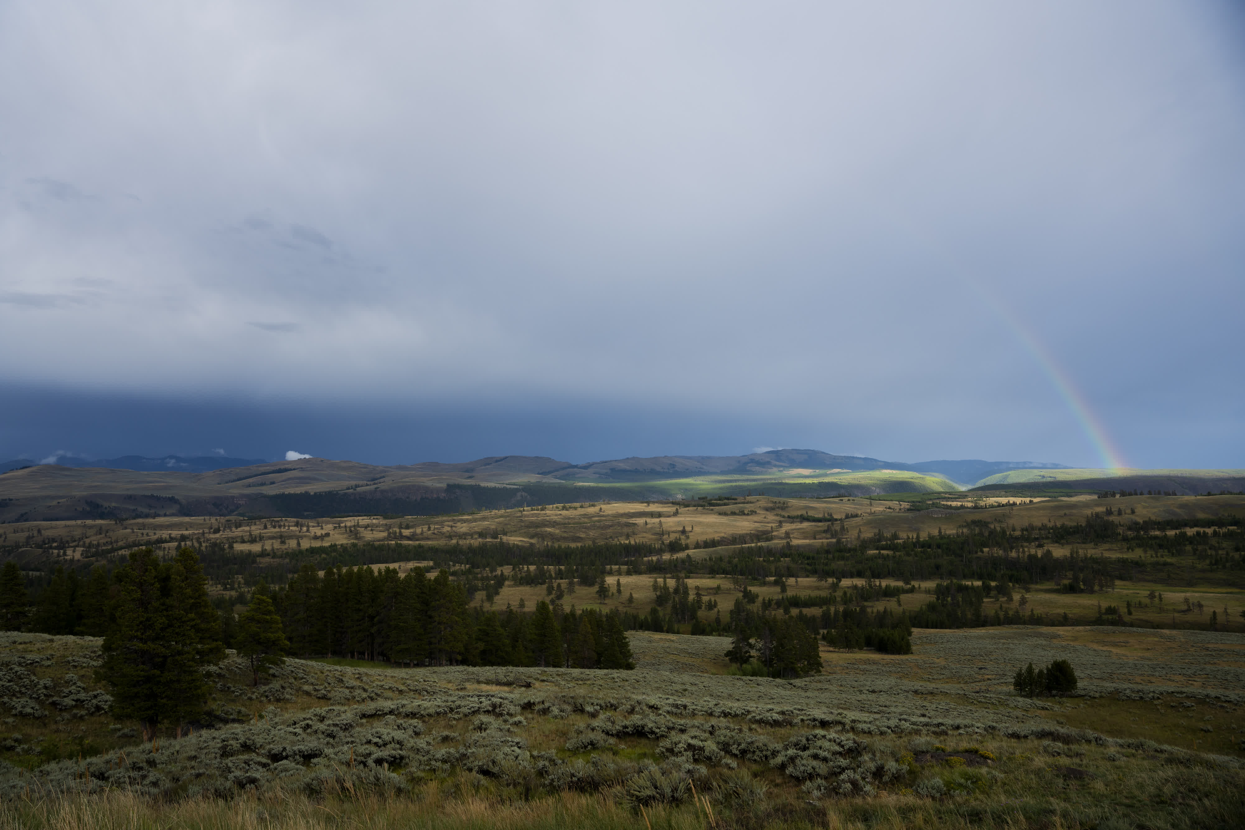 Yellowstone NP 2023 photo 11 by Bowen Hou